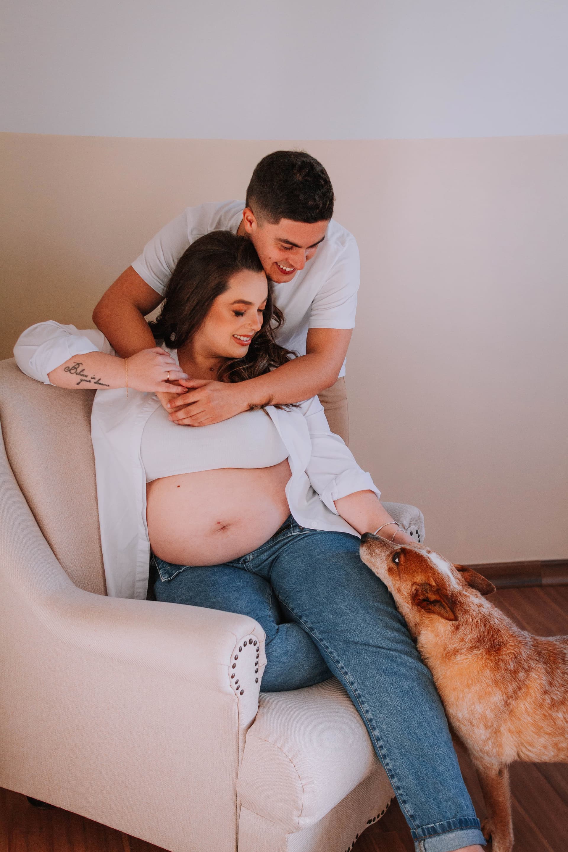 Imagem 21 da galeria fotográfica - Plartph