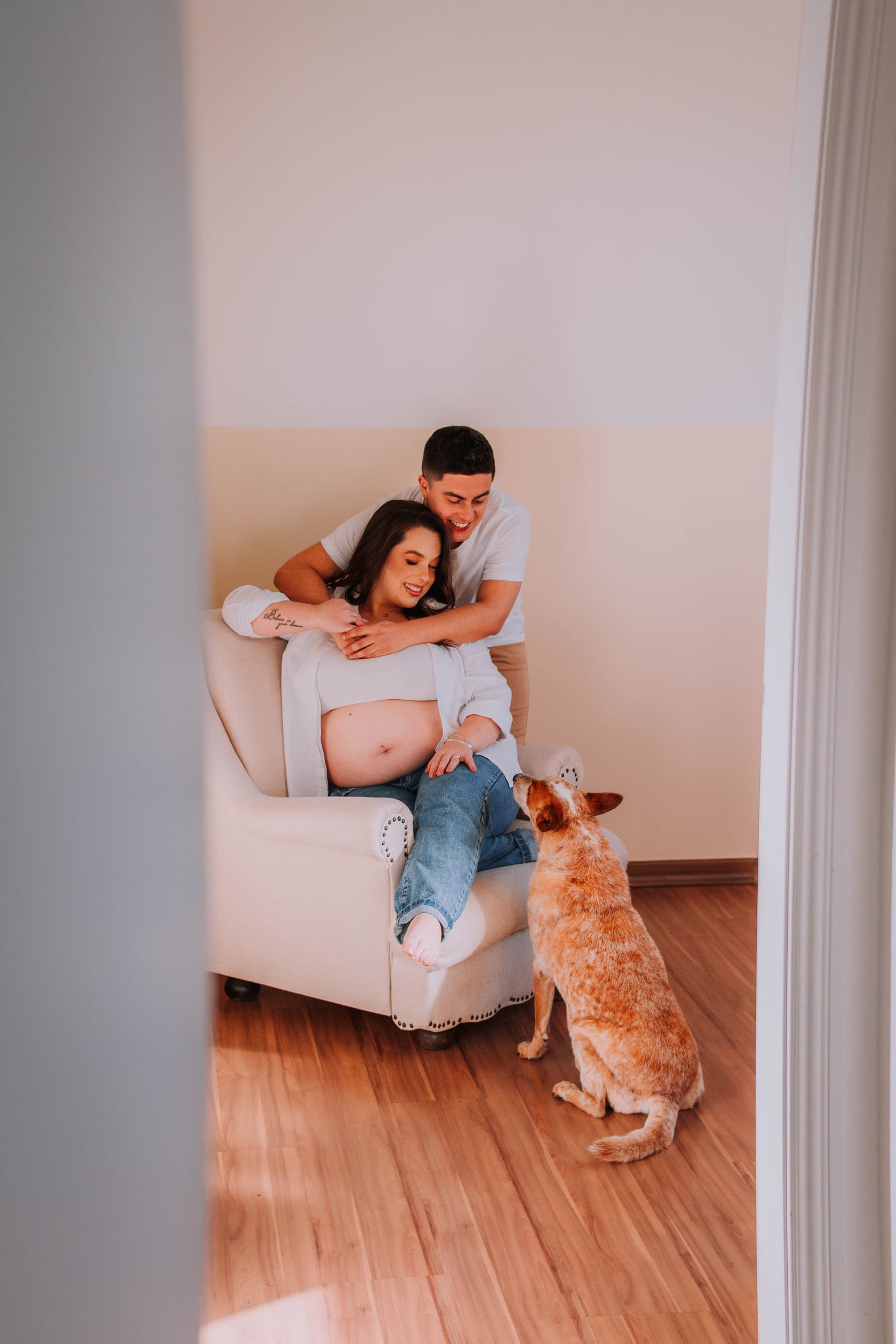 Imagem 24 da galeria fotográfica - Plartph