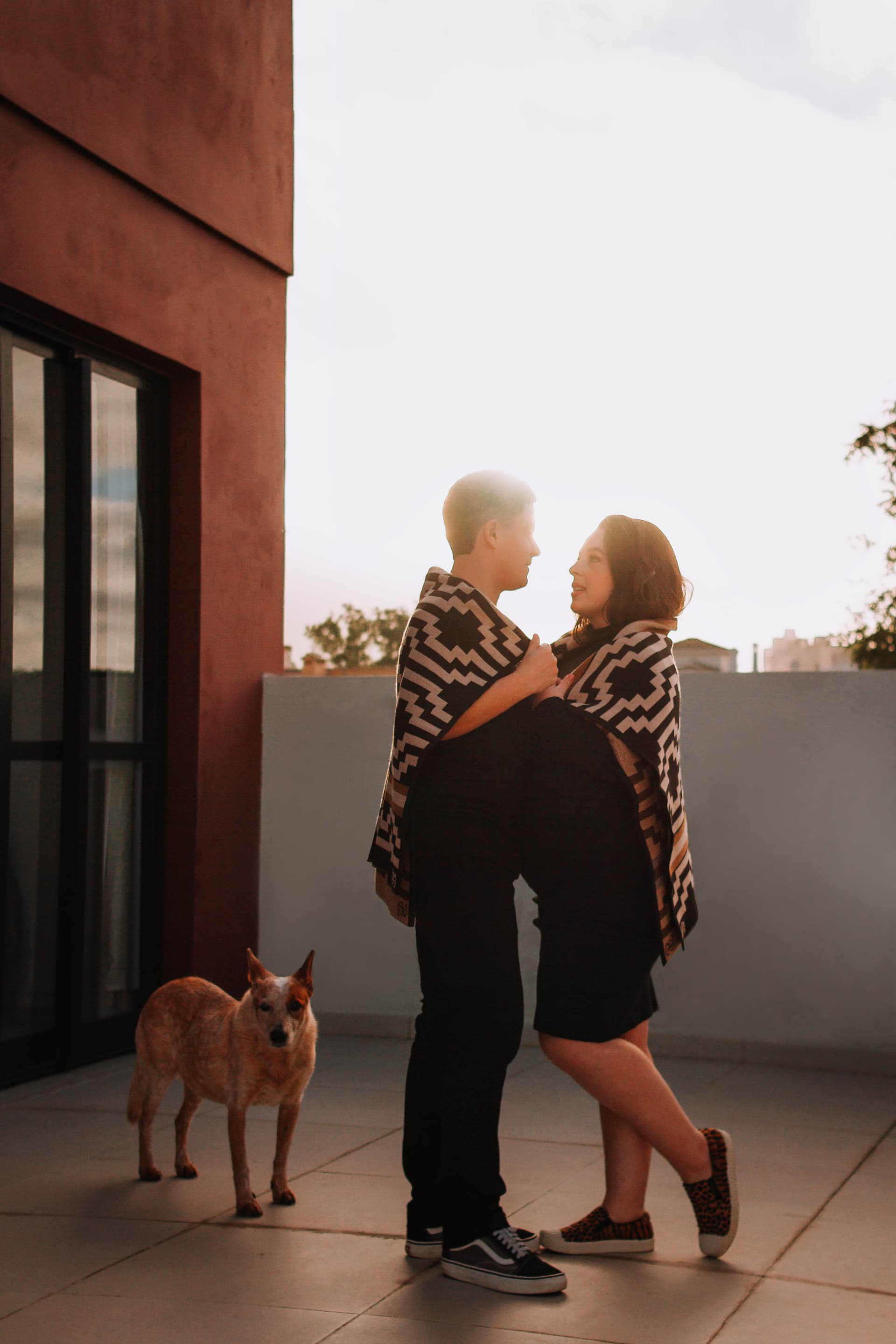 Imagem 25 da galeria fotográfica - Plartph