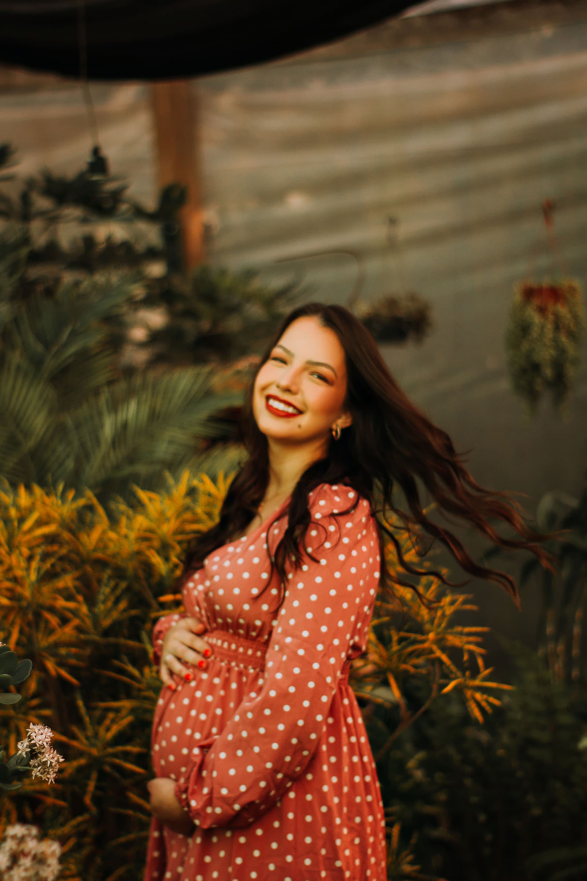 Imagem 1 da galeria fotográfica - Plartph