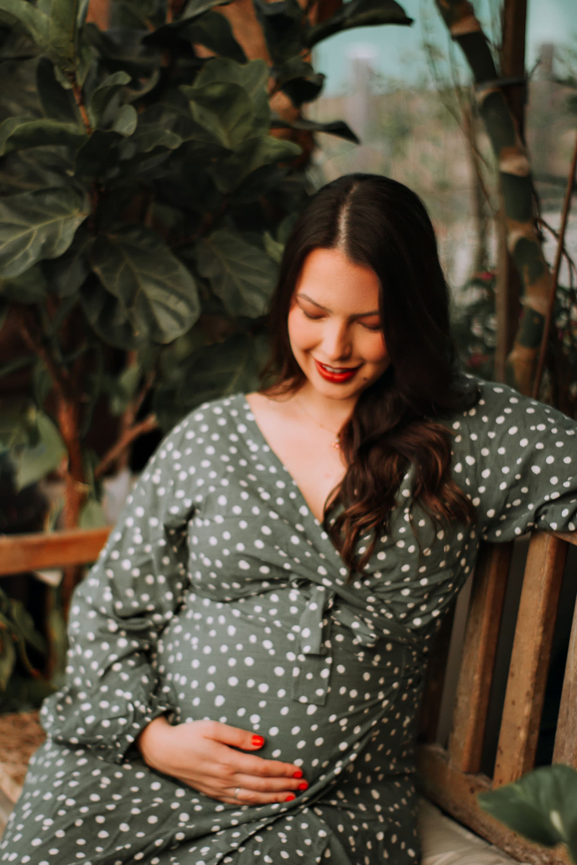 Imagem 2 da galeria fotográfica - Plartph