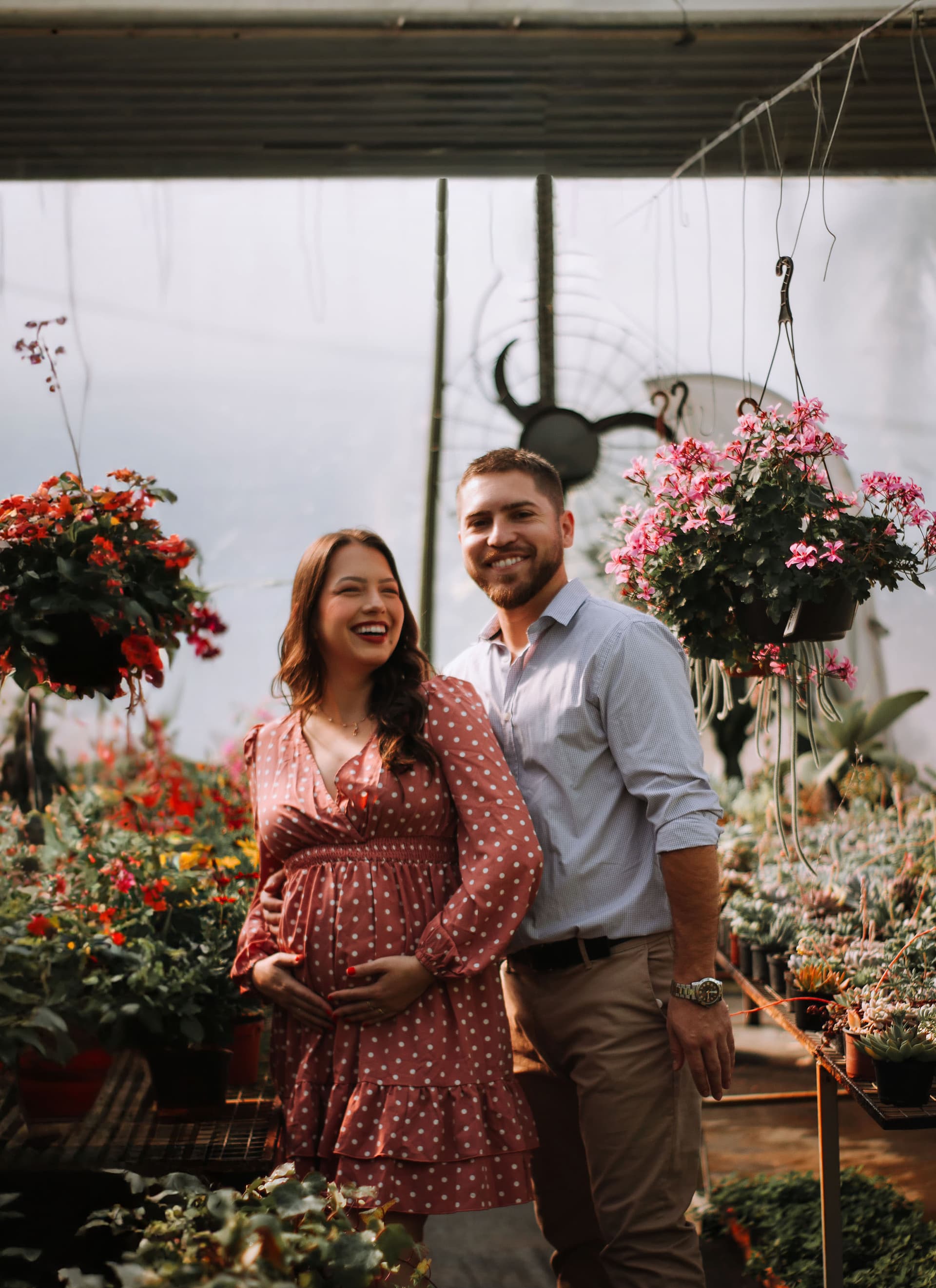 Imagem 5 da galeria fotográfica - Plartph