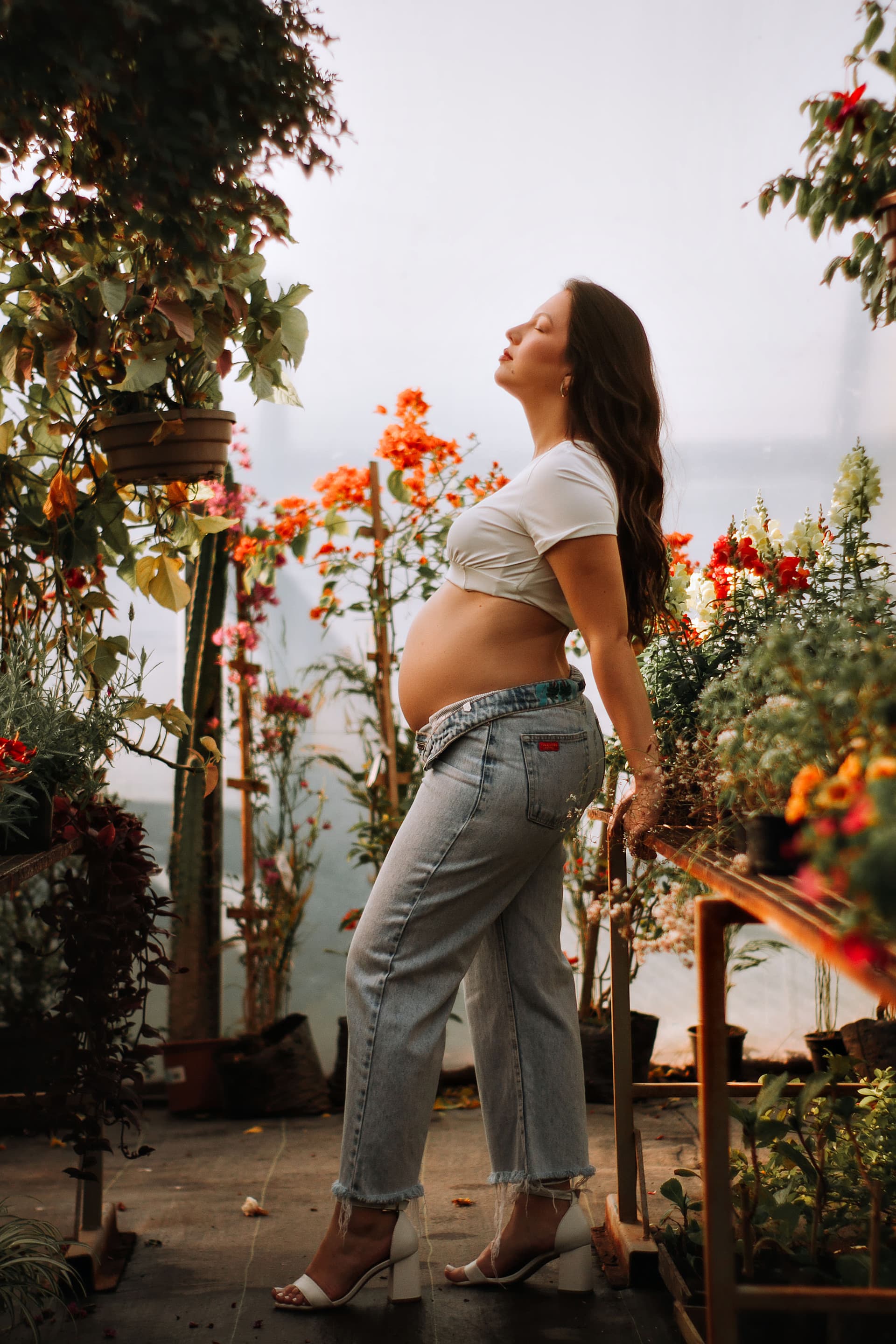 Imagem 3 da galeria fotográfica - Plartph