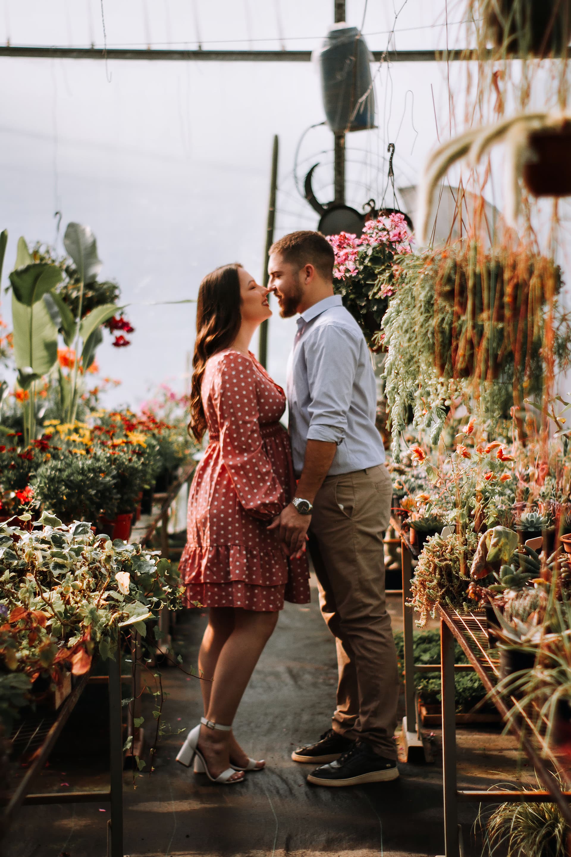 Imagem 4 da galeria fotográfica - Plartph