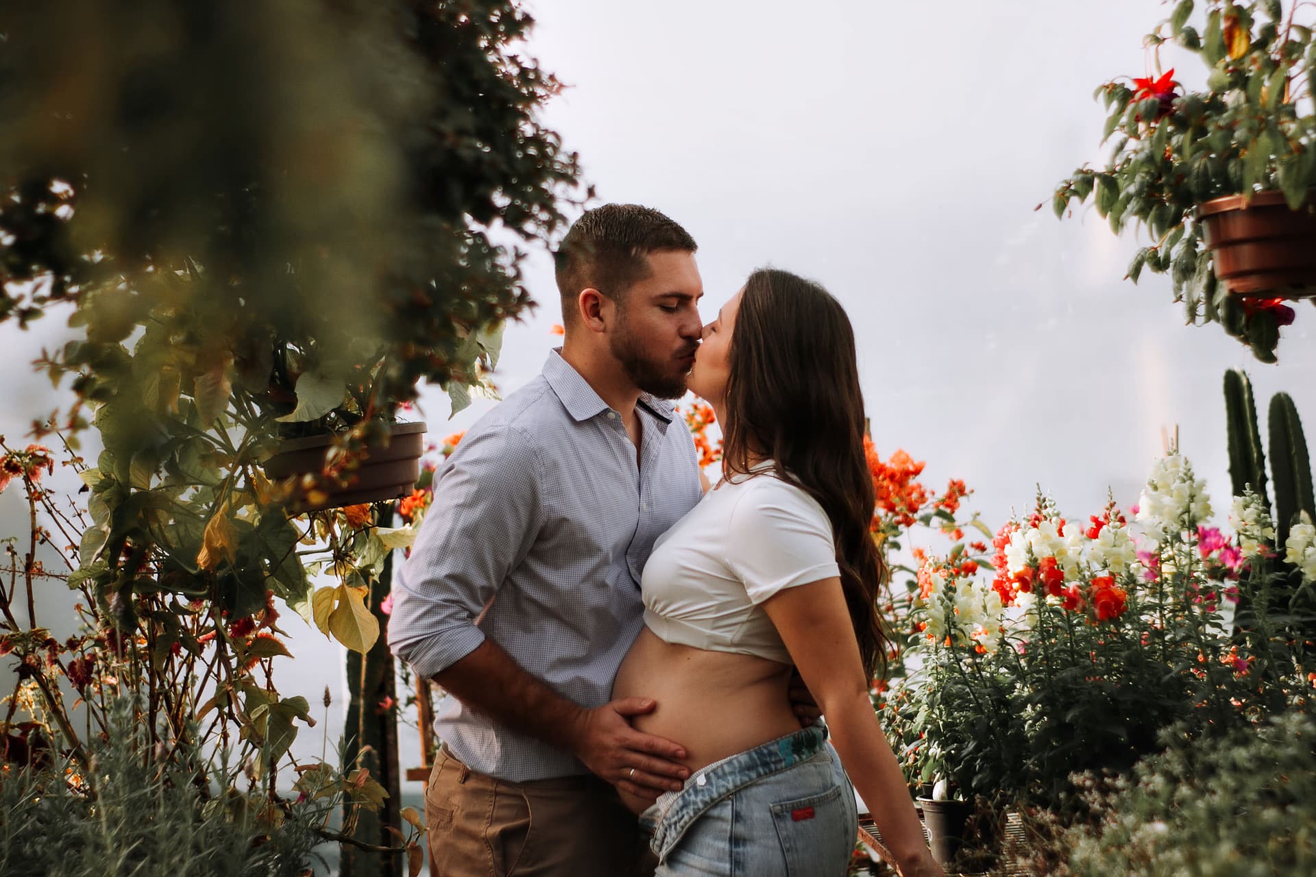 Imagem 11 da galeria fotográfica - Plartph