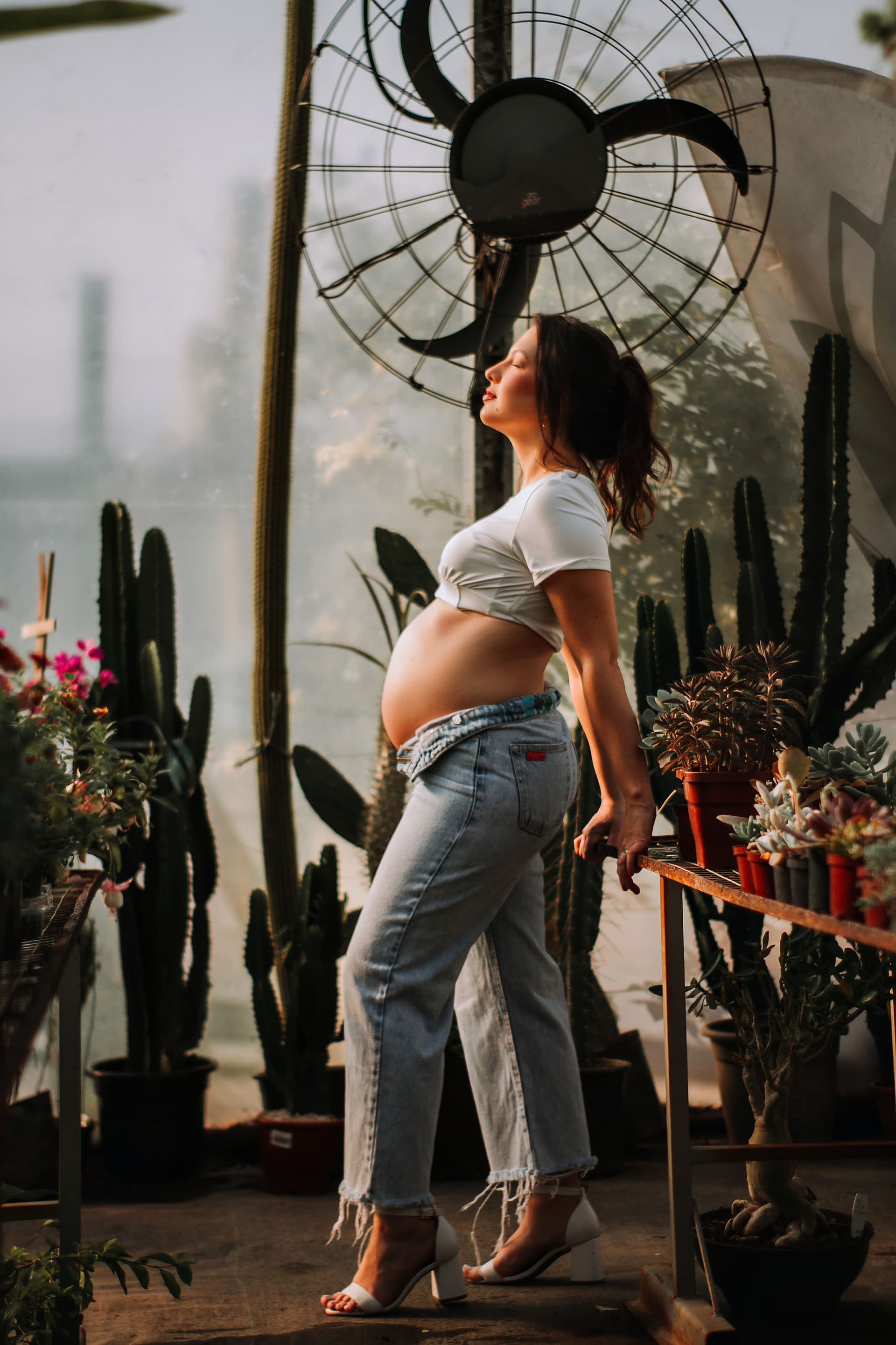 Imagem 9 da galeria fotográfica - Plartph