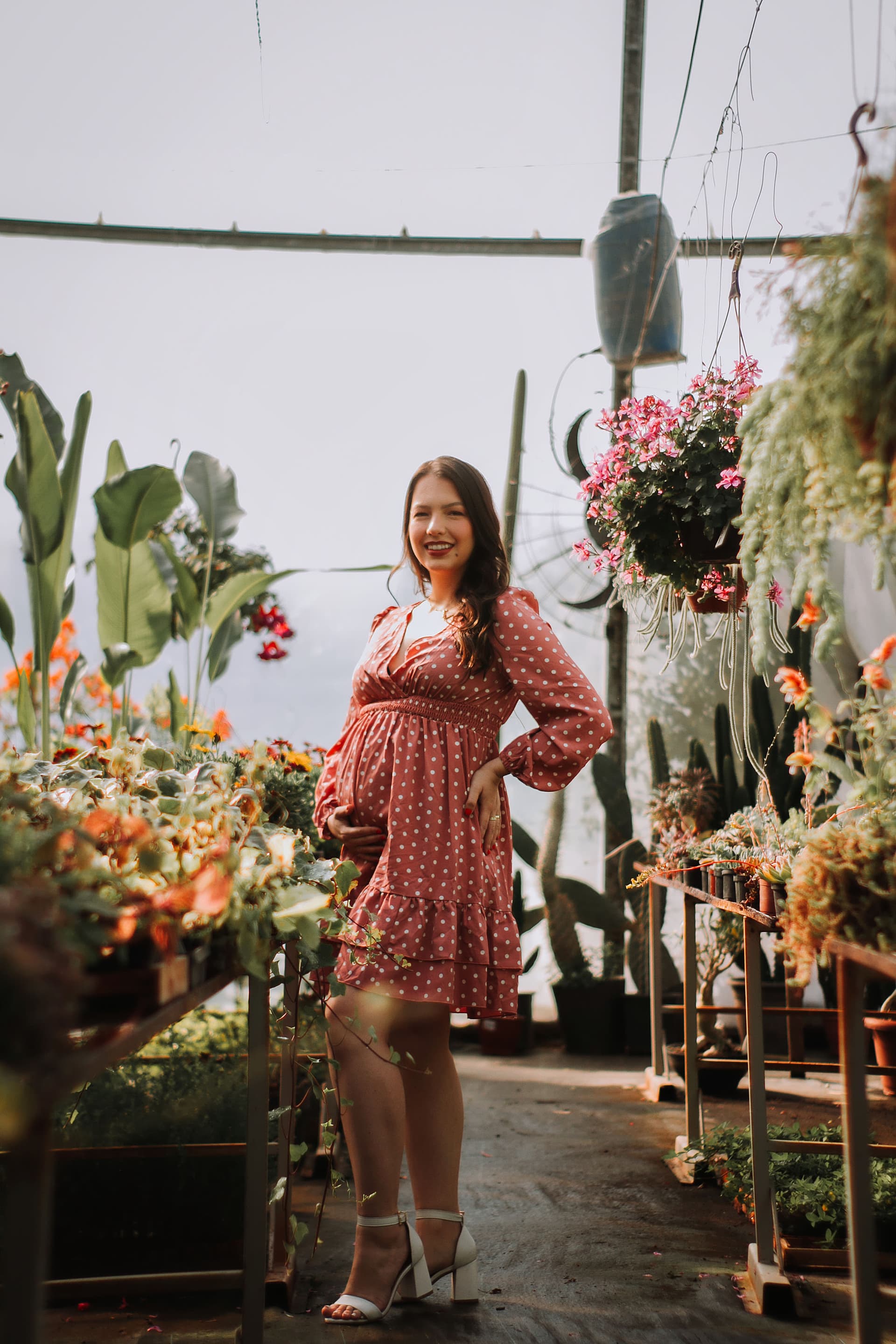 Imagem 6 da galeria fotográfica - Plartph