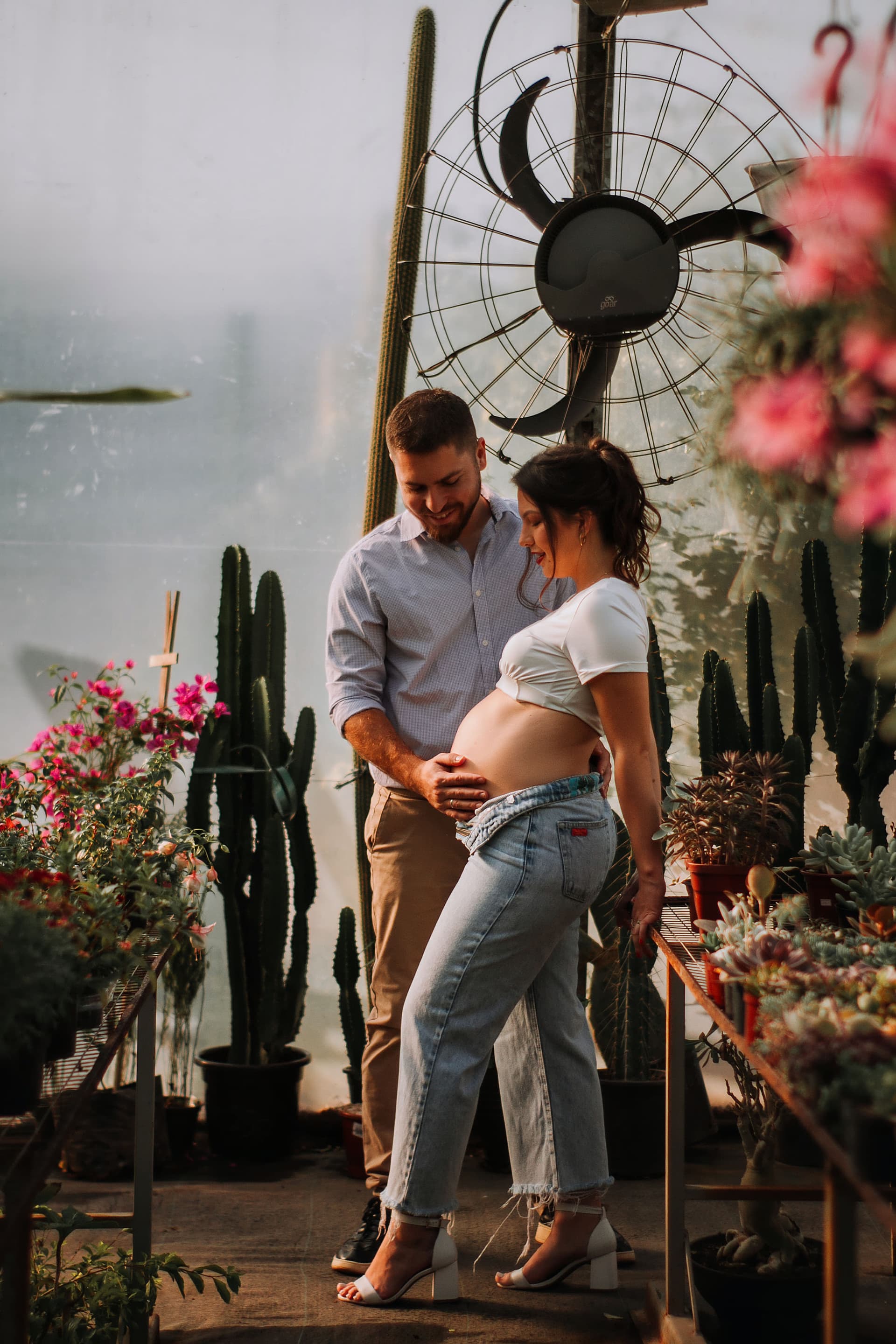 Imagem 13 da galeria fotográfica - Plartph