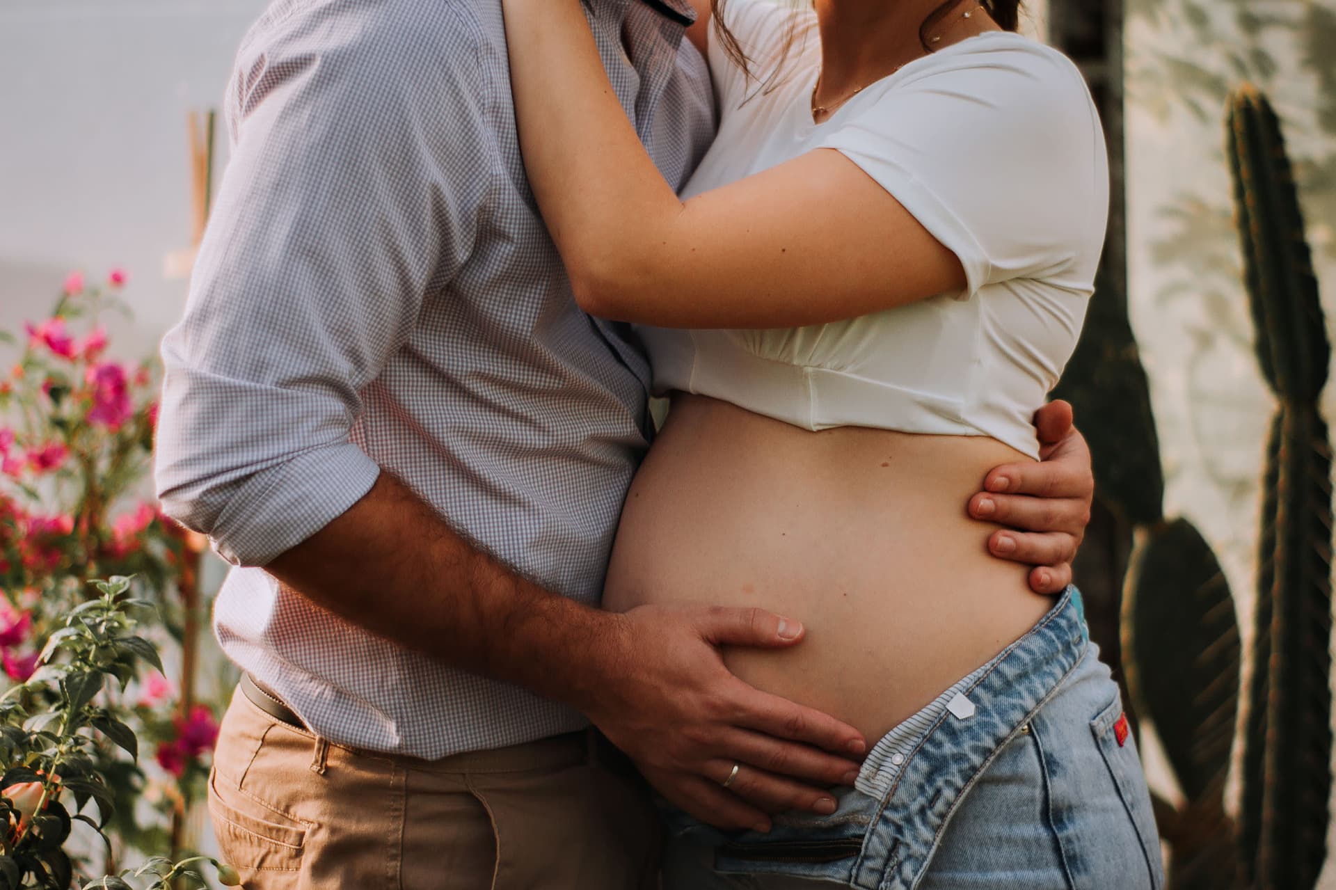 Imagem 21 da galeria fotográfica - Plartph