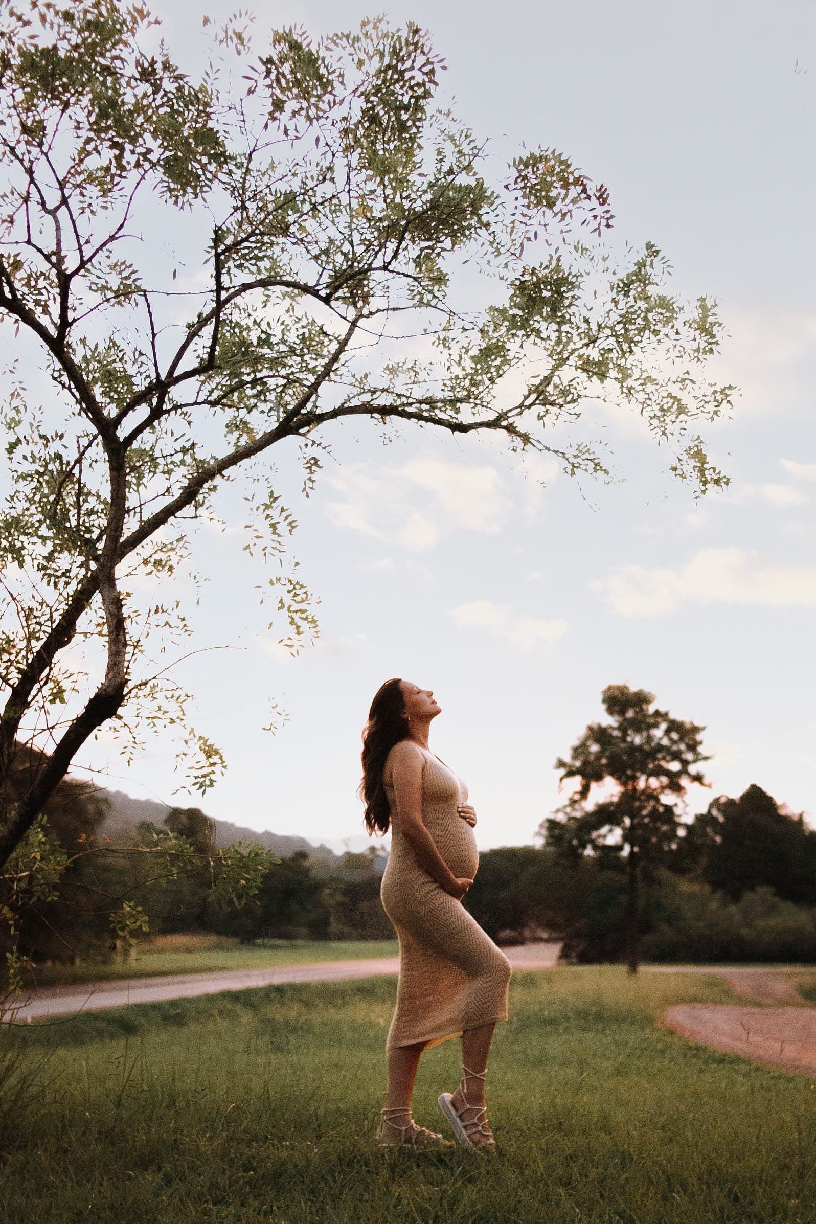 Imagem 19 da galeria fotográfica - Plartph