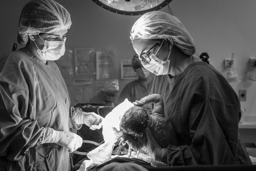 Chegada do Lucas - Portfólio Plartph