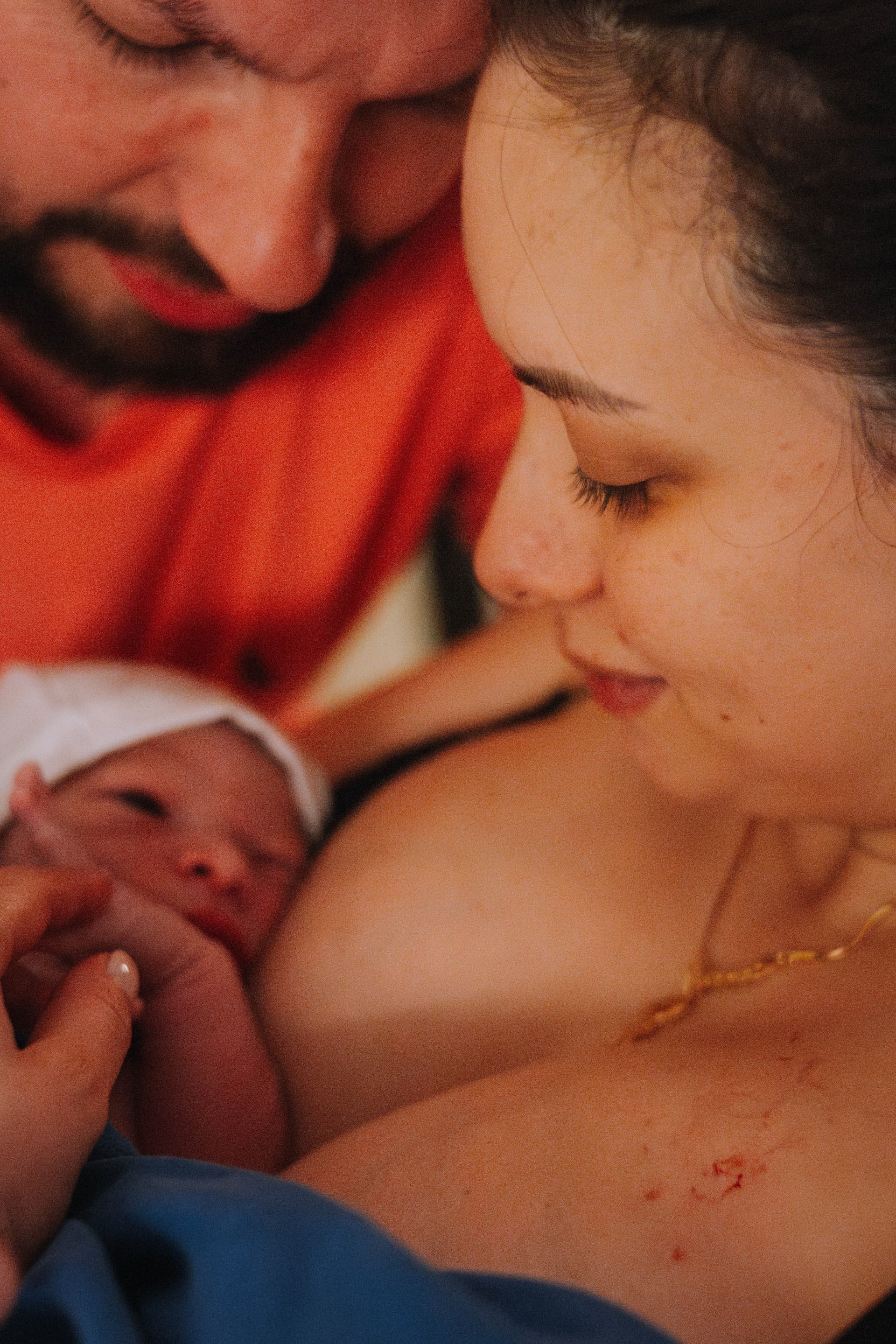 Imagem 6 da galeria fotográfica - Plartph