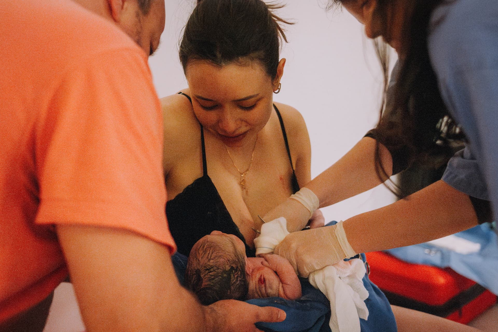 Imagem 11 da galeria fotográfica - Plartph