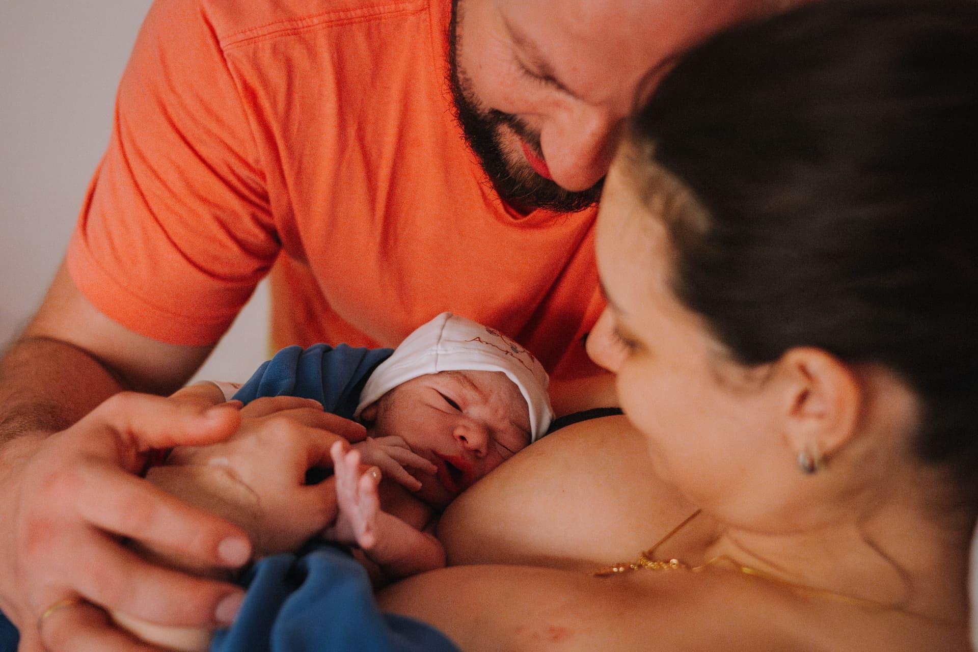 Imagem 19 da galeria fotográfica - Plartph