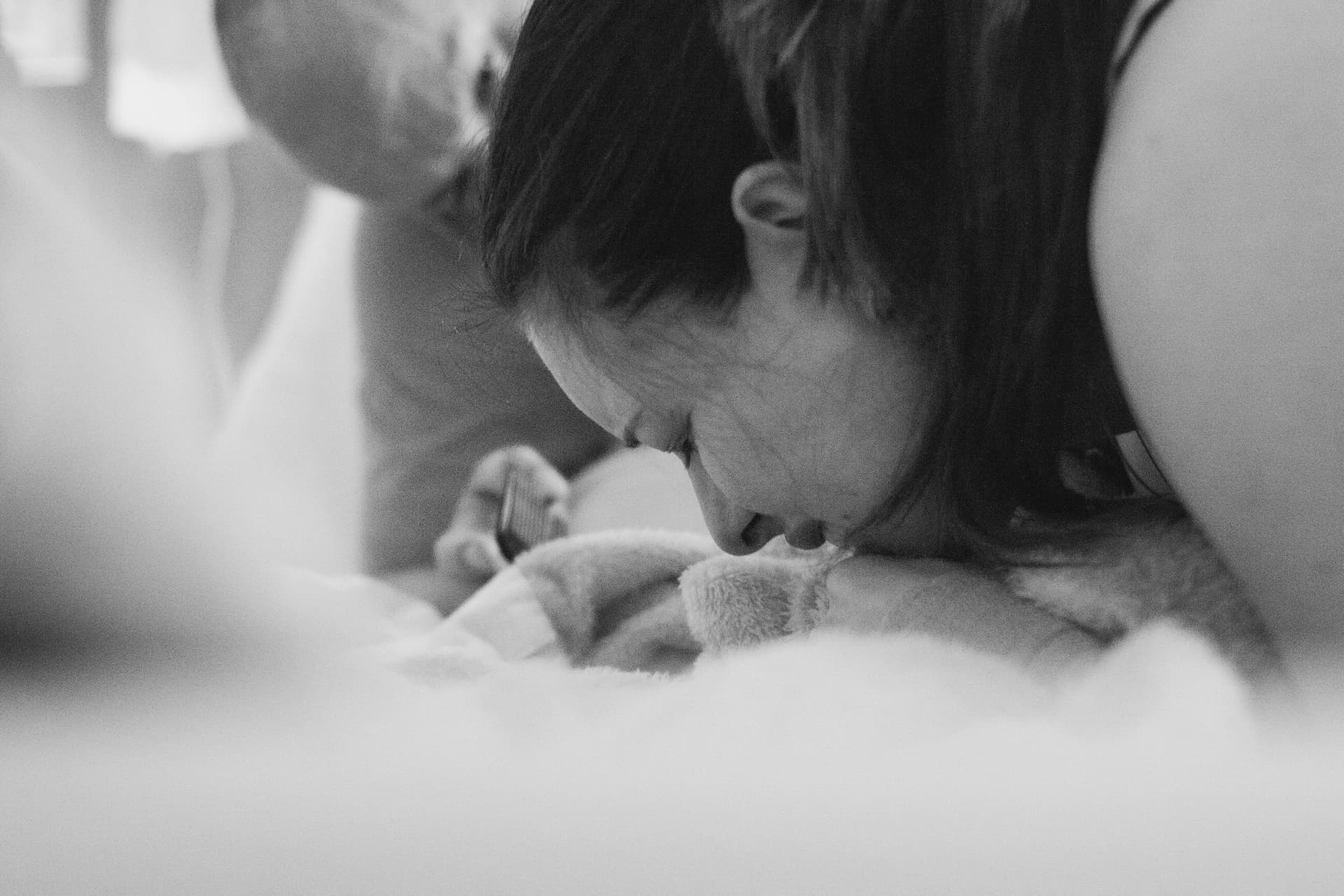 Imagem 22 da galeria fotográfica - Plartph