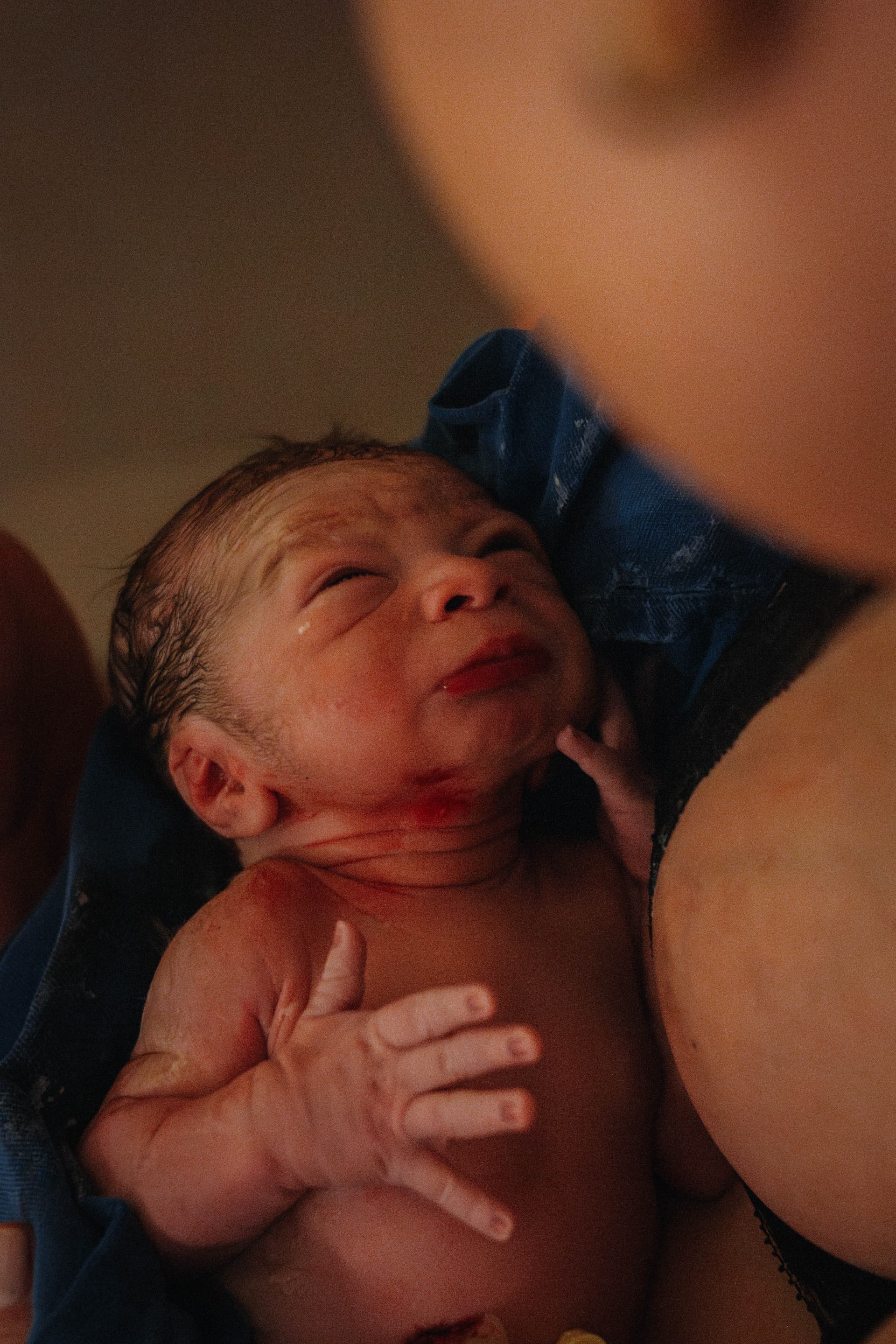 Imagem 26 da galeria fotográfica - Plartph