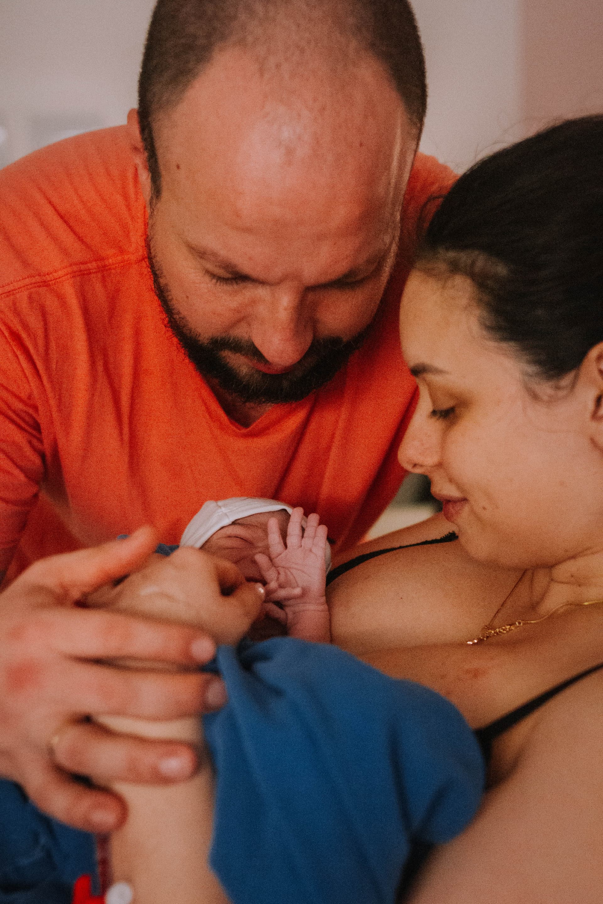 Imagem 27 da galeria fotográfica - Plartph