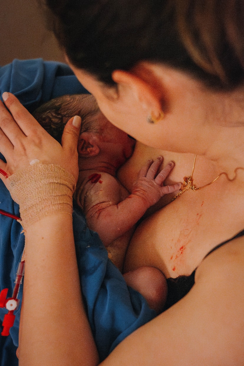 Chegada do Santiago - Portfólio Plartph