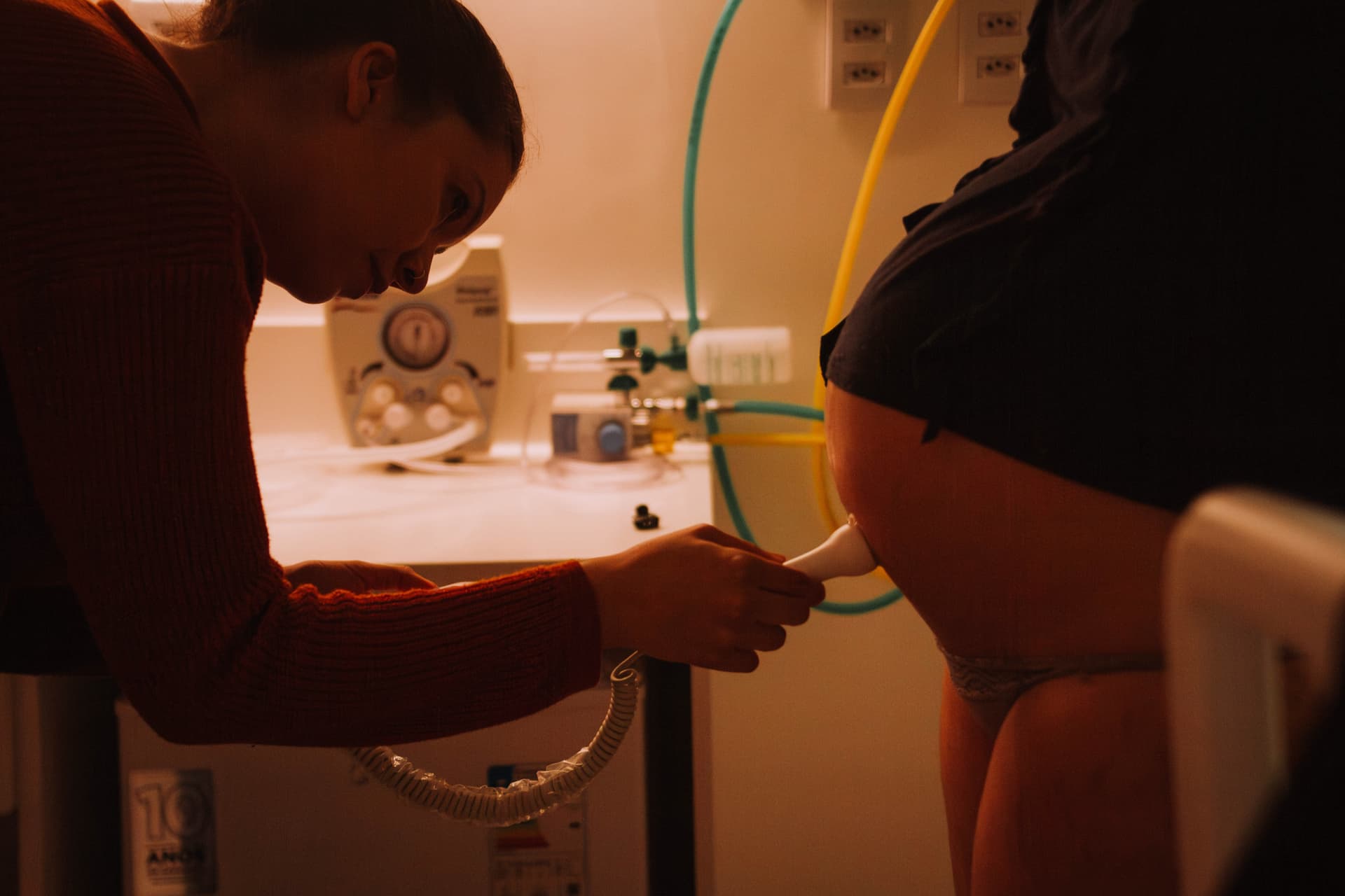 Imagem 2 da galeria fotográfica - Plartph