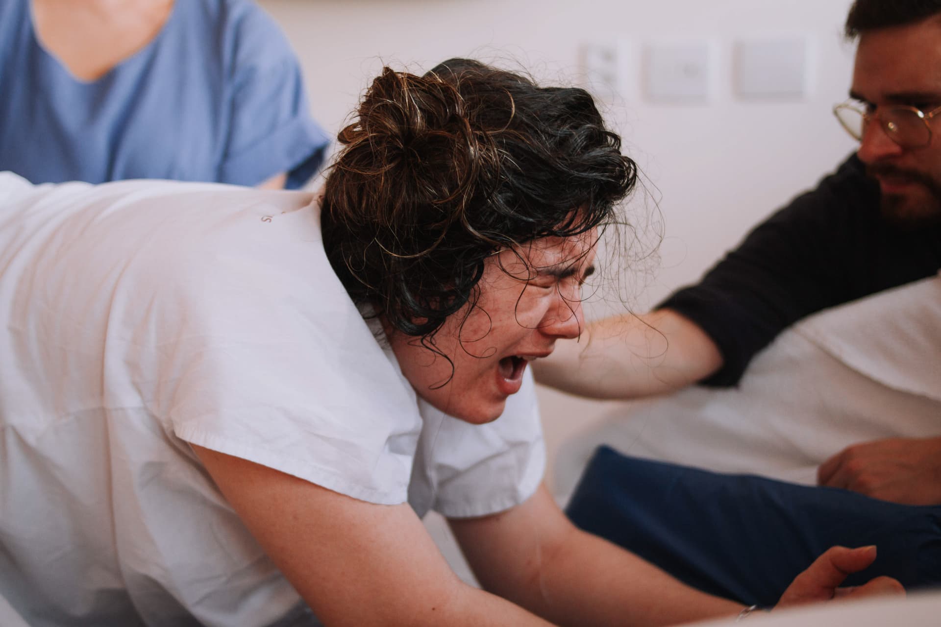 Imagem 8 da galeria fotográfica - Plartph