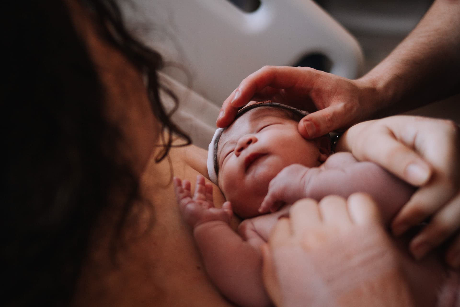 Imagem 11 da galeria fotográfica - Plartph