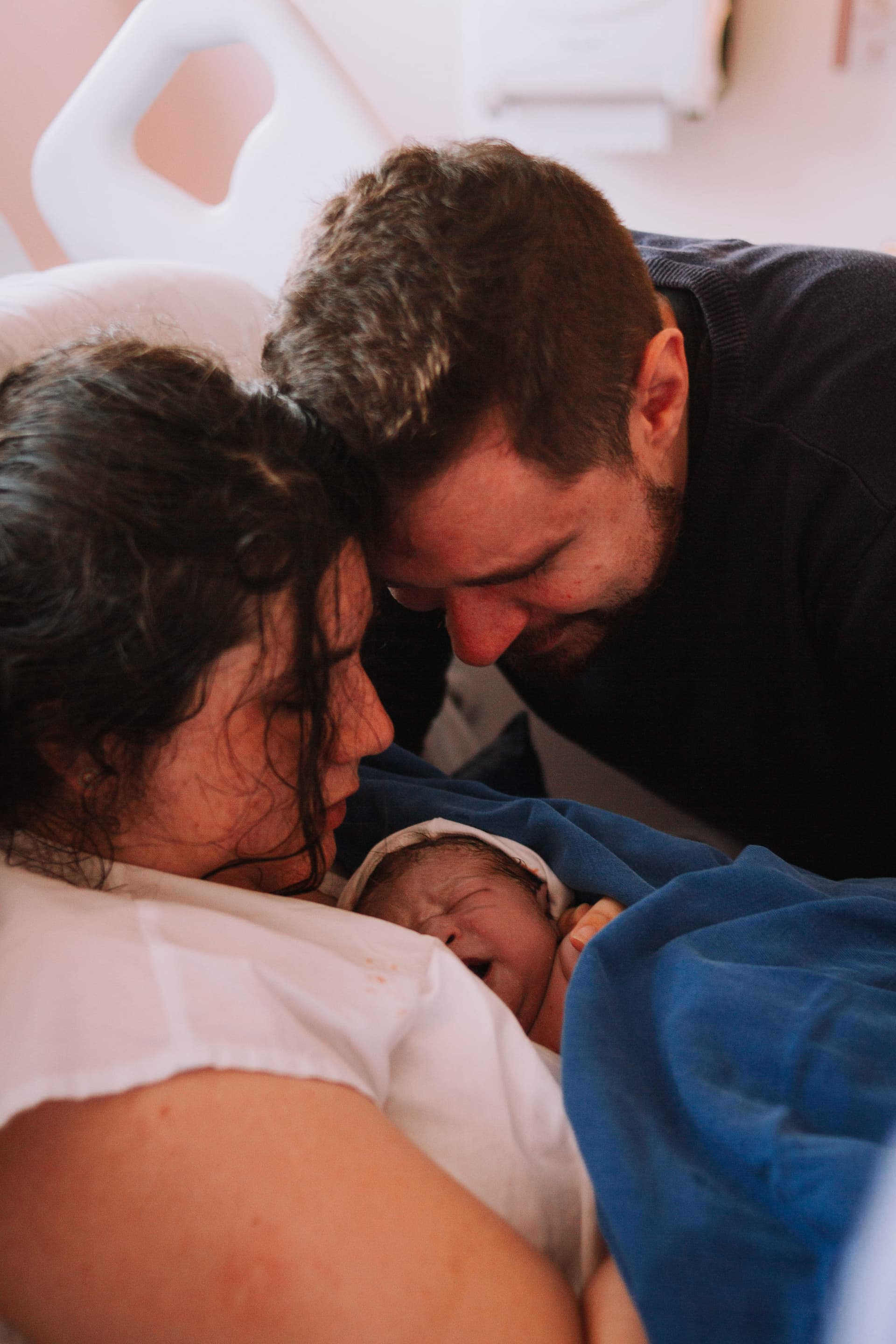 Imagem 18 da galeria fotográfica - Plartph