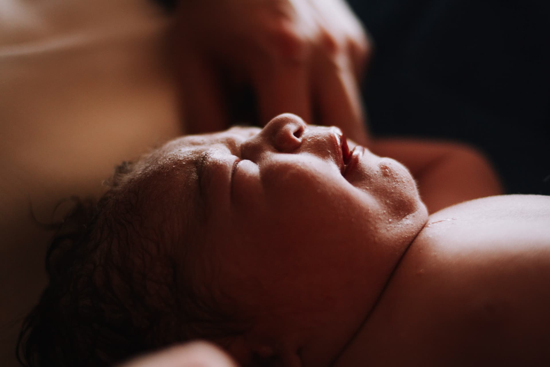 Imagem 21 da galeria fotográfica - Plartph