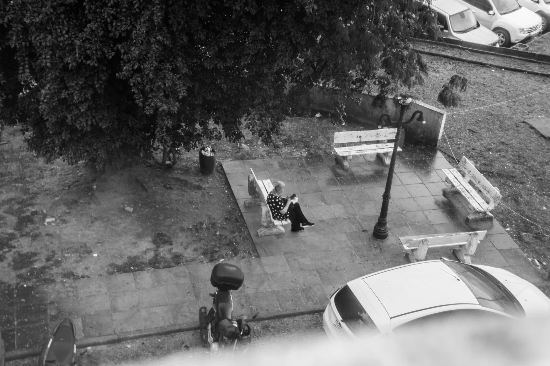 Imagem 3 da galeria fotográfica - Plartph