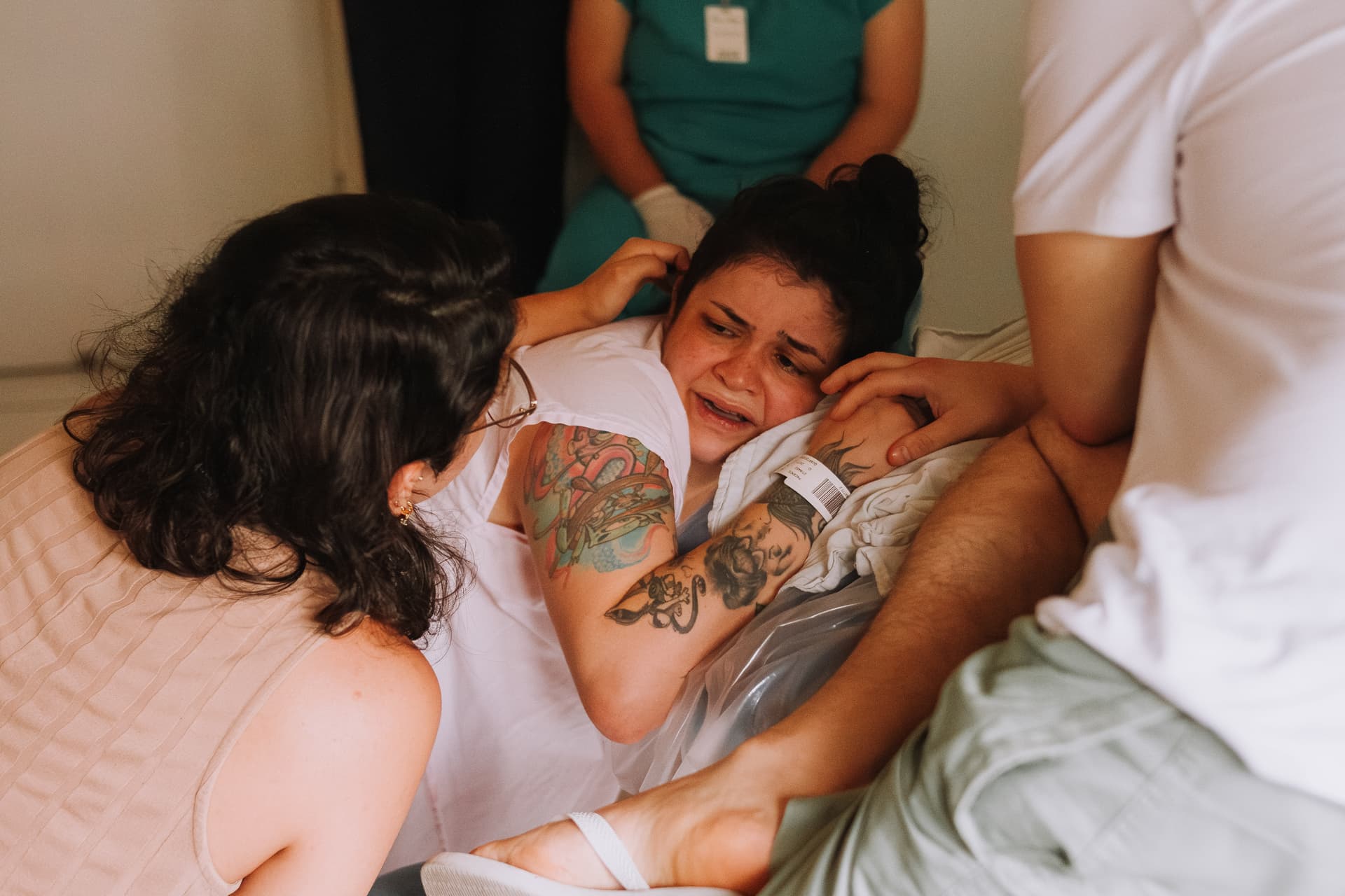 Imagem 7 da galeria fotográfica - Plartph