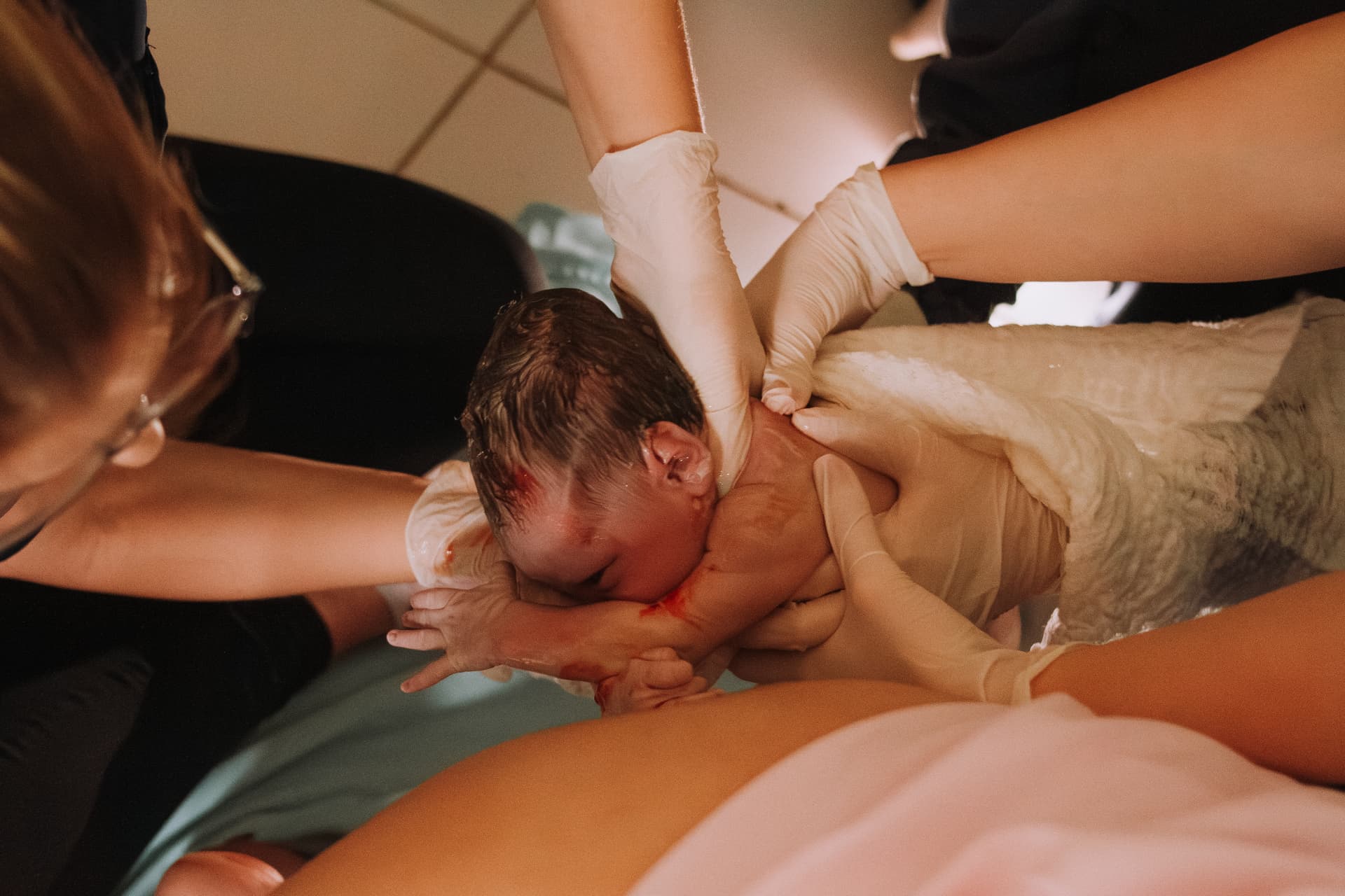 Imagem 9 da galeria fotográfica - Plartph