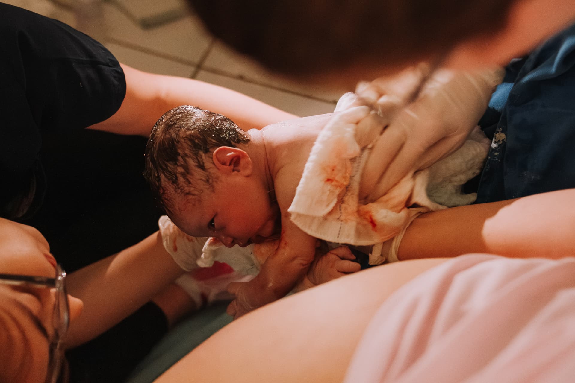 Imagem 8 da galeria fotográfica - Plartph