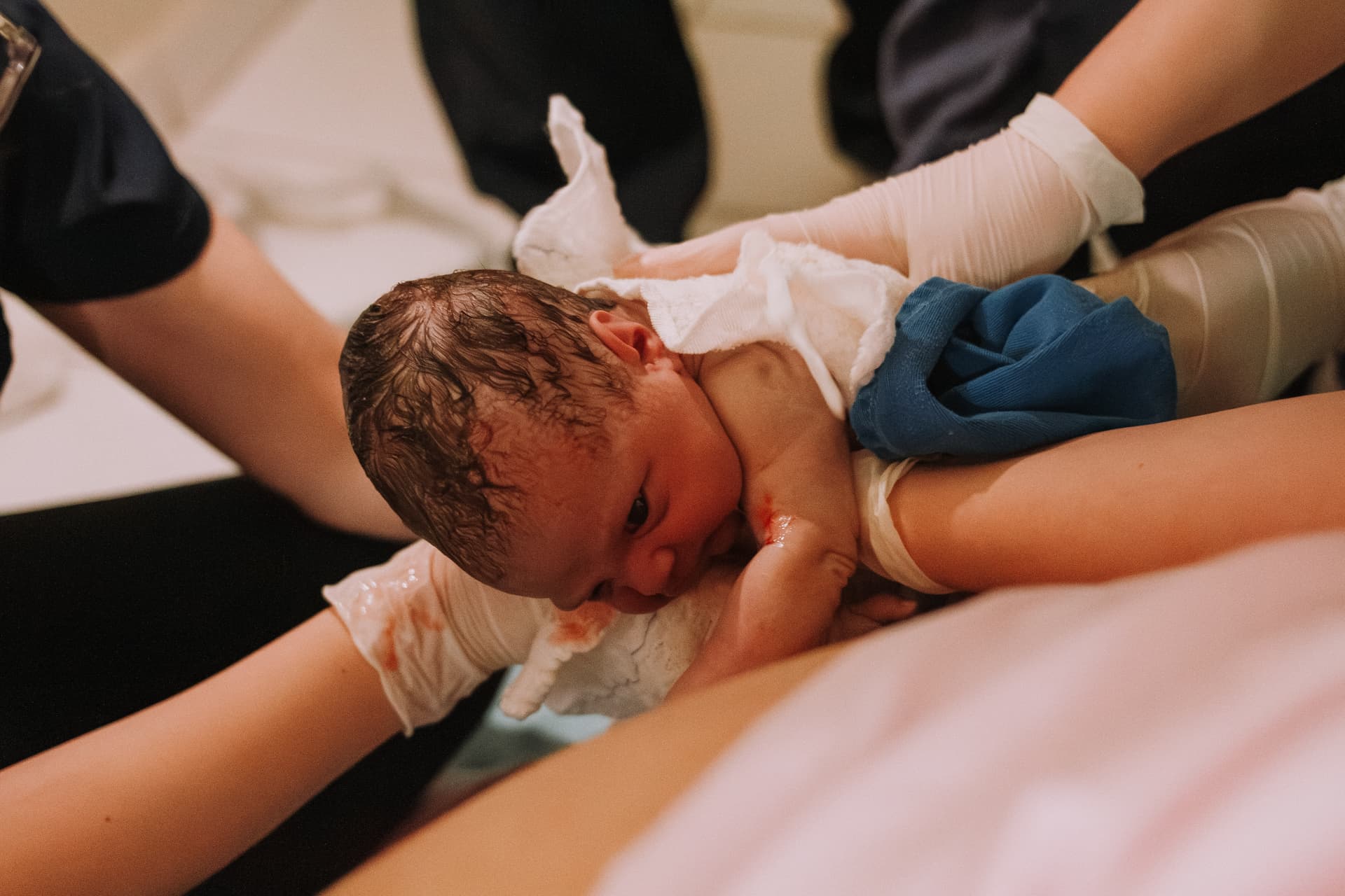 Imagem 10 da galeria fotográfica - Plartph