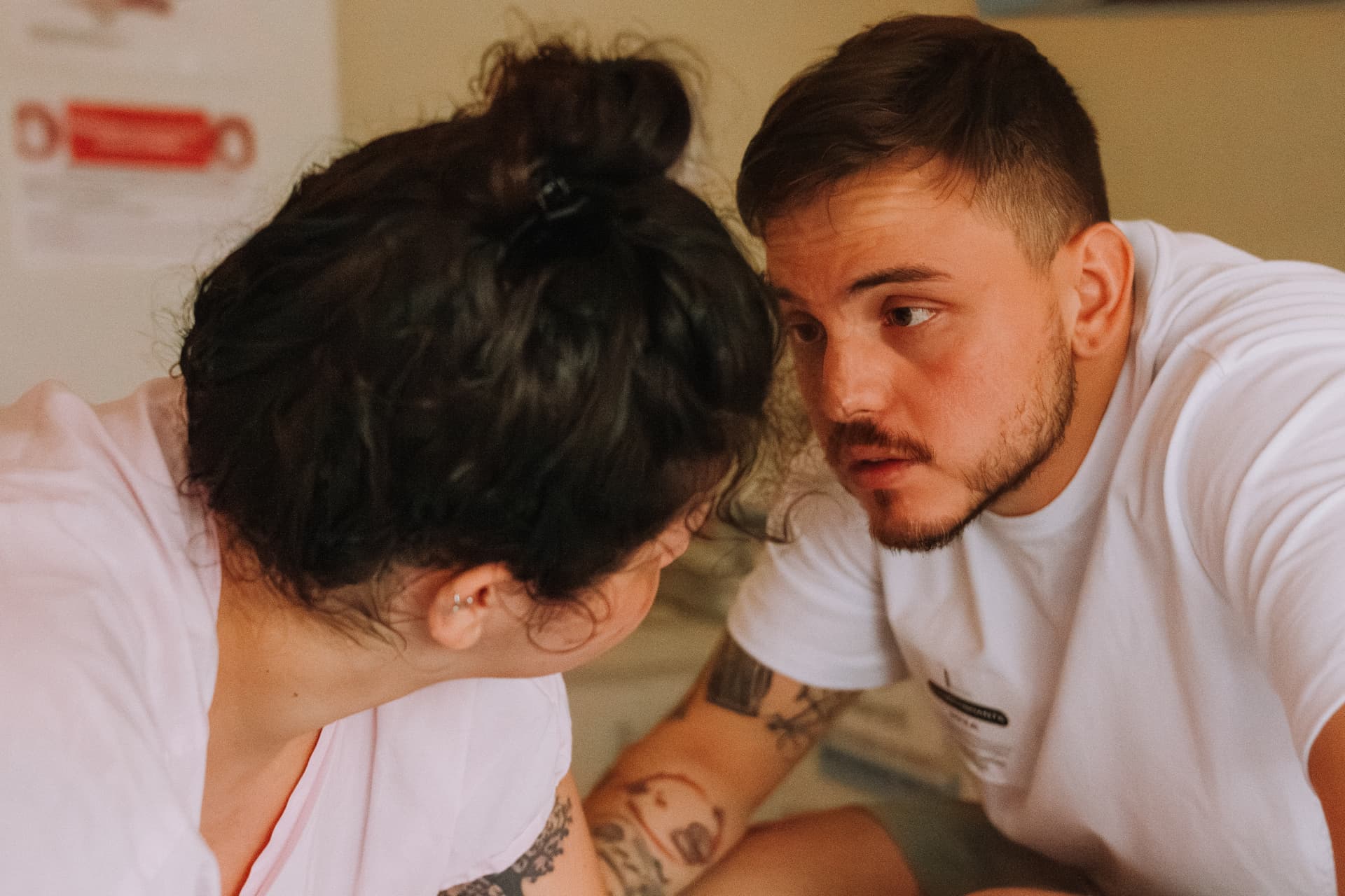 Imagem 19 da galeria fotográfica - Plartph