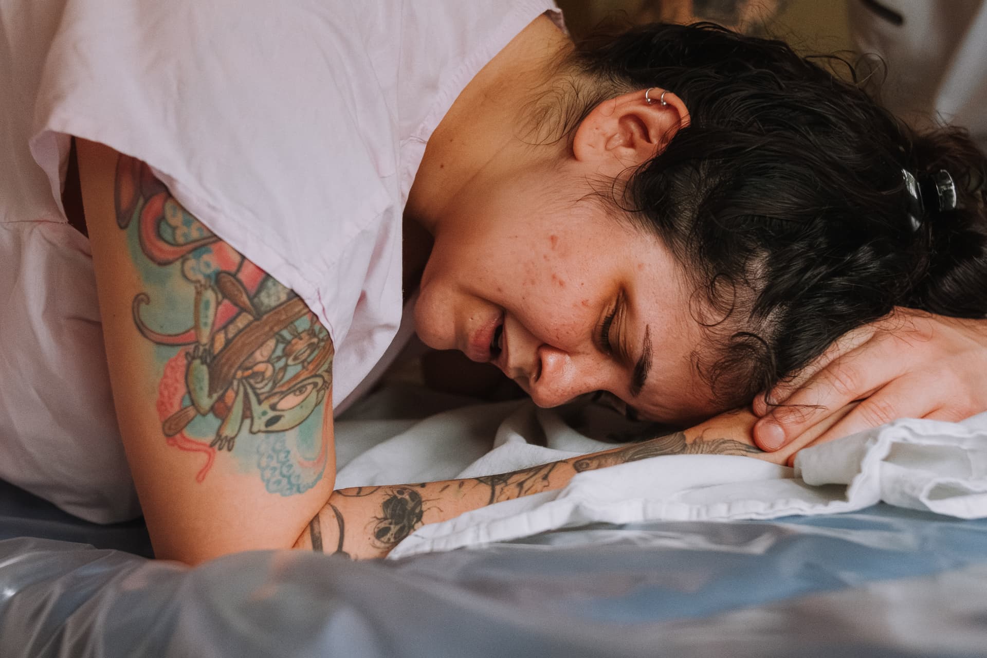 Imagem 20 da galeria fotográfica - Plartph