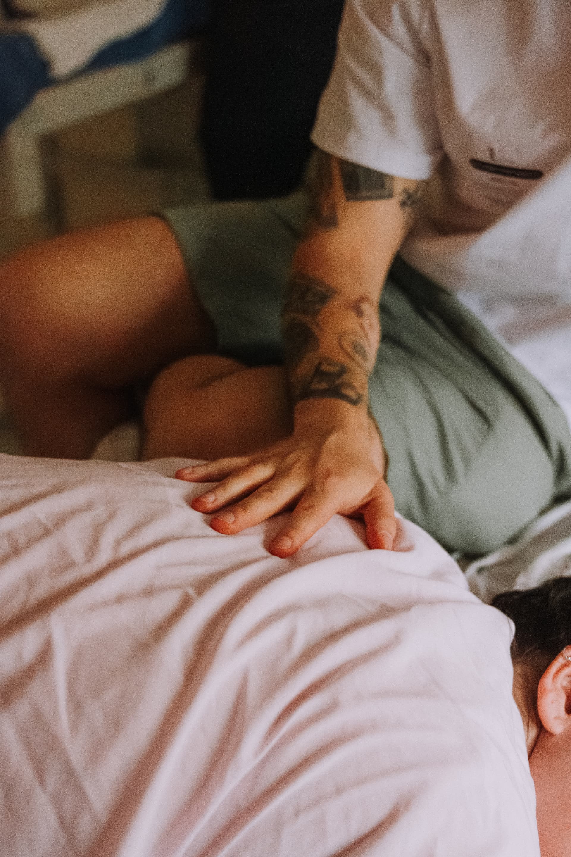 Imagem 25 da galeria fotográfica - Plartph