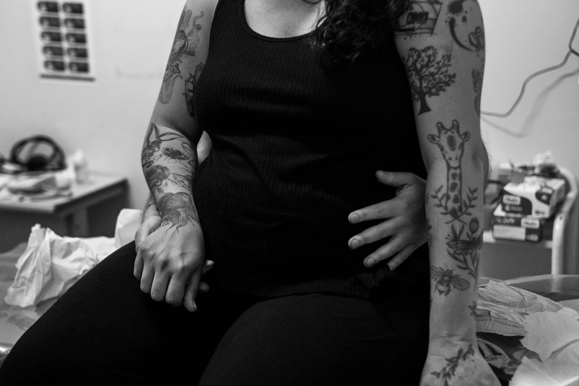 Imagem 24 da galeria fotográfica - Plartph