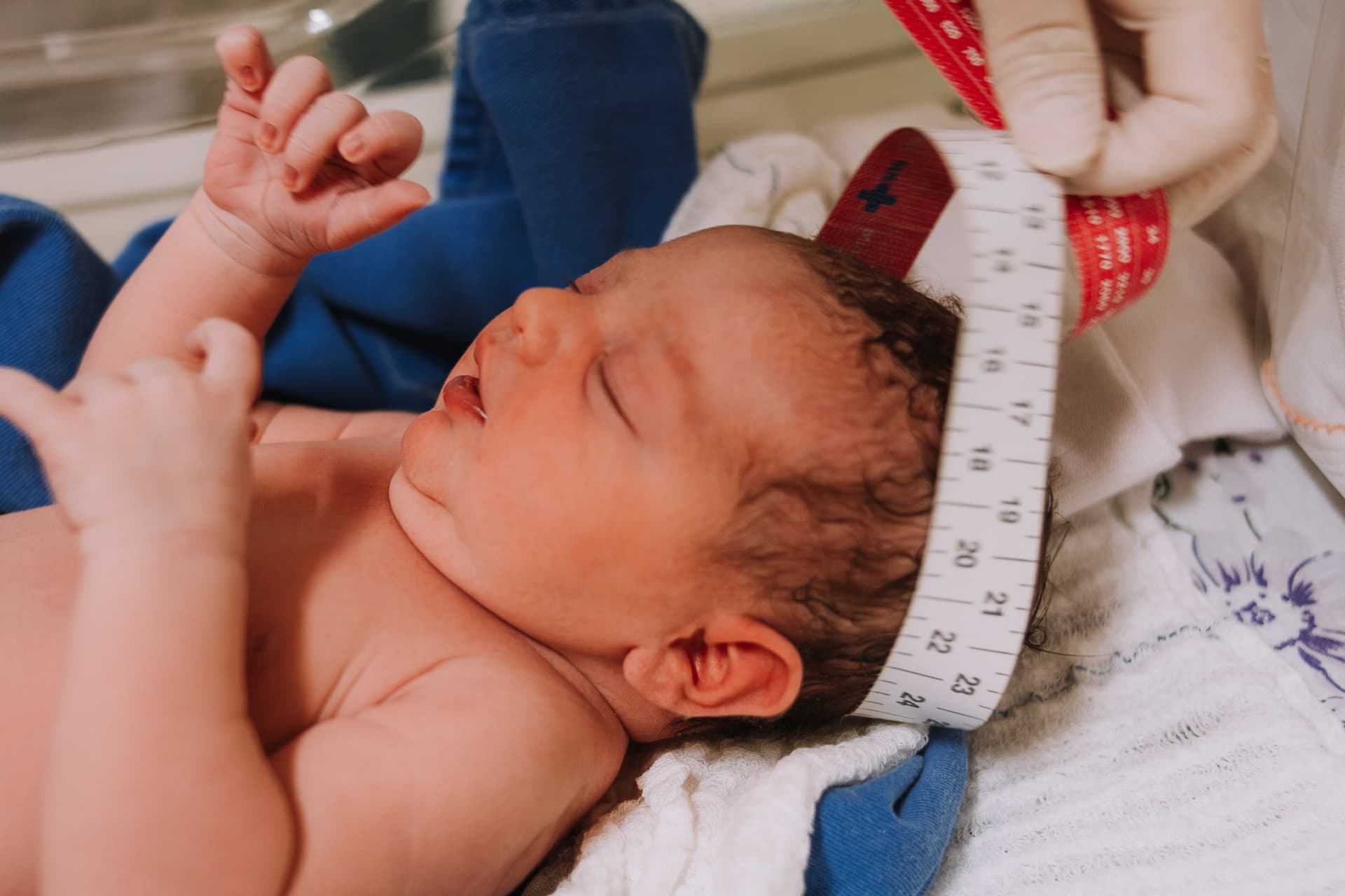 Imagem 32 da galeria fotográfica - Plartph