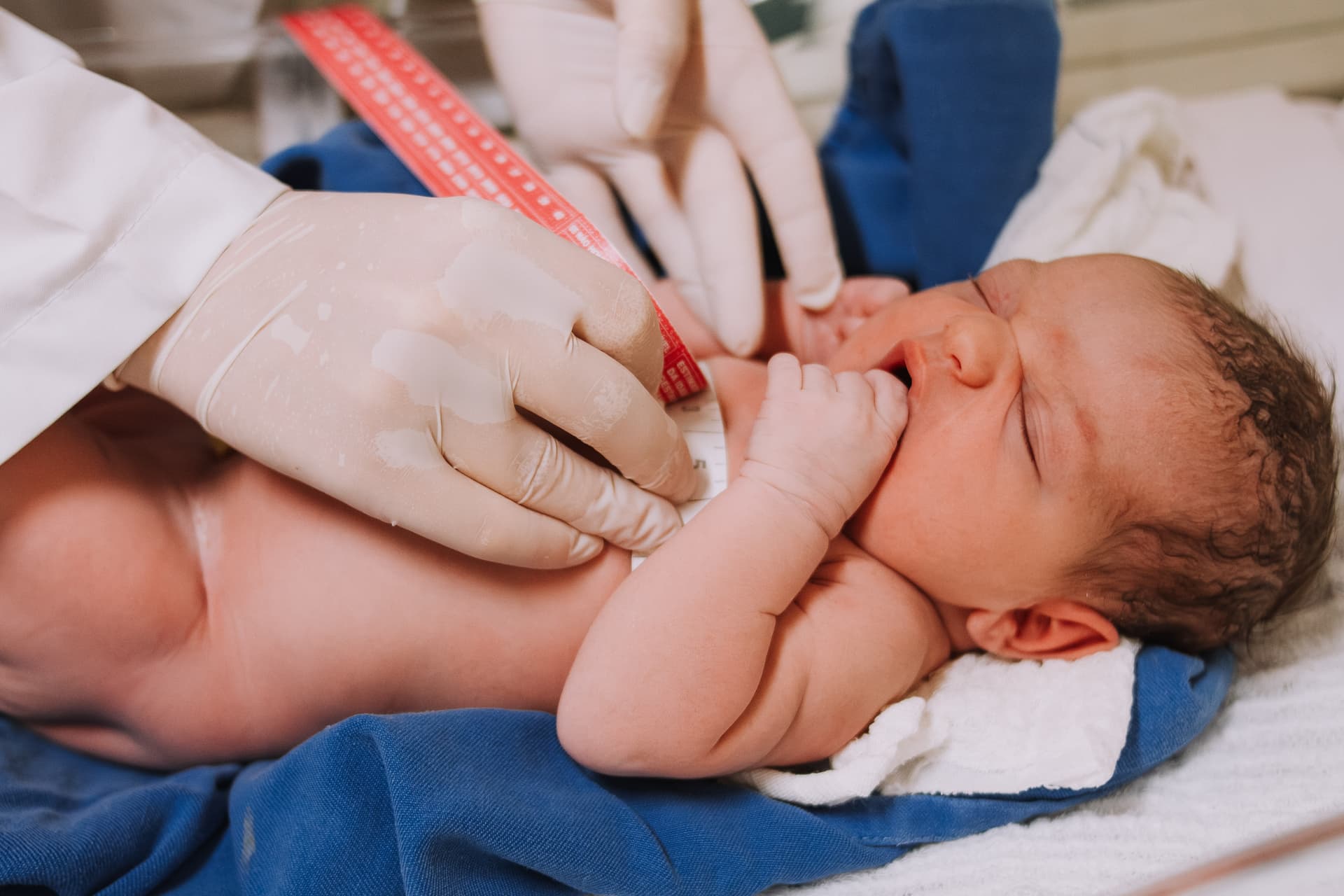 Imagem 33 da galeria fotográfica - Plartph