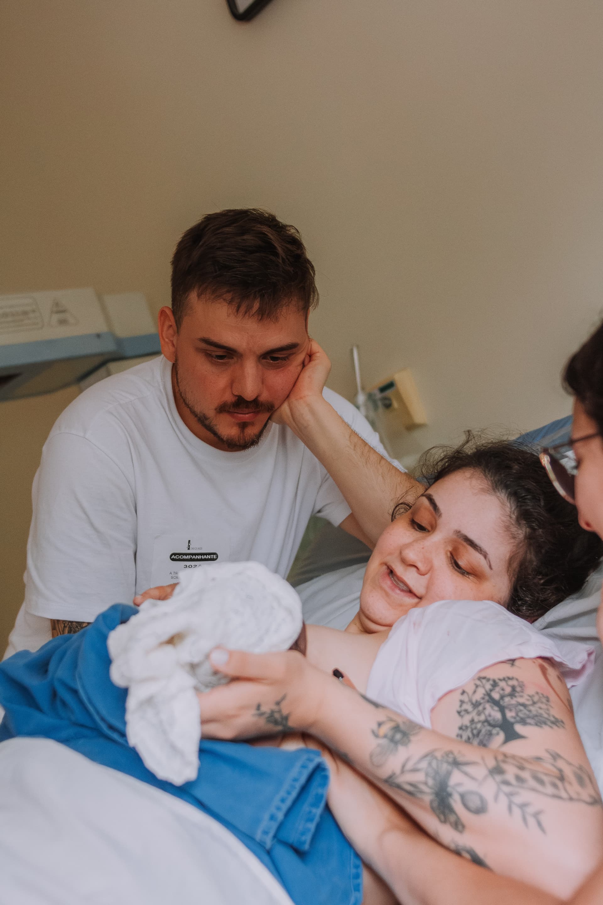 Imagem 39 da galeria fotográfica - Plartph