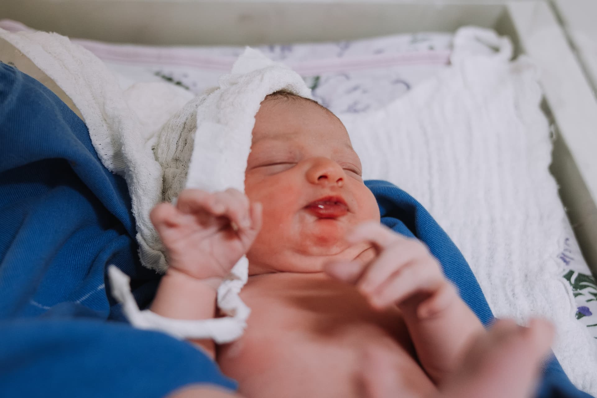 Imagem 40 da galeria fotográfica - Plartph