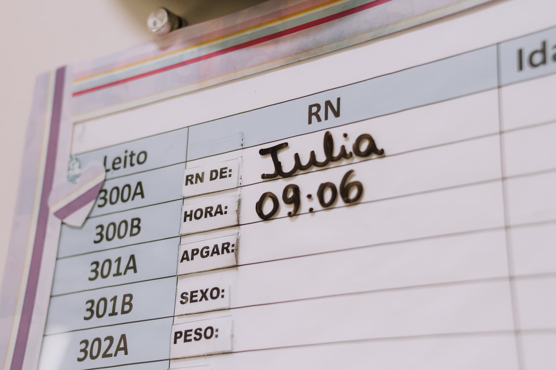 Imagem 43 da galeria fotográfica - Plartph