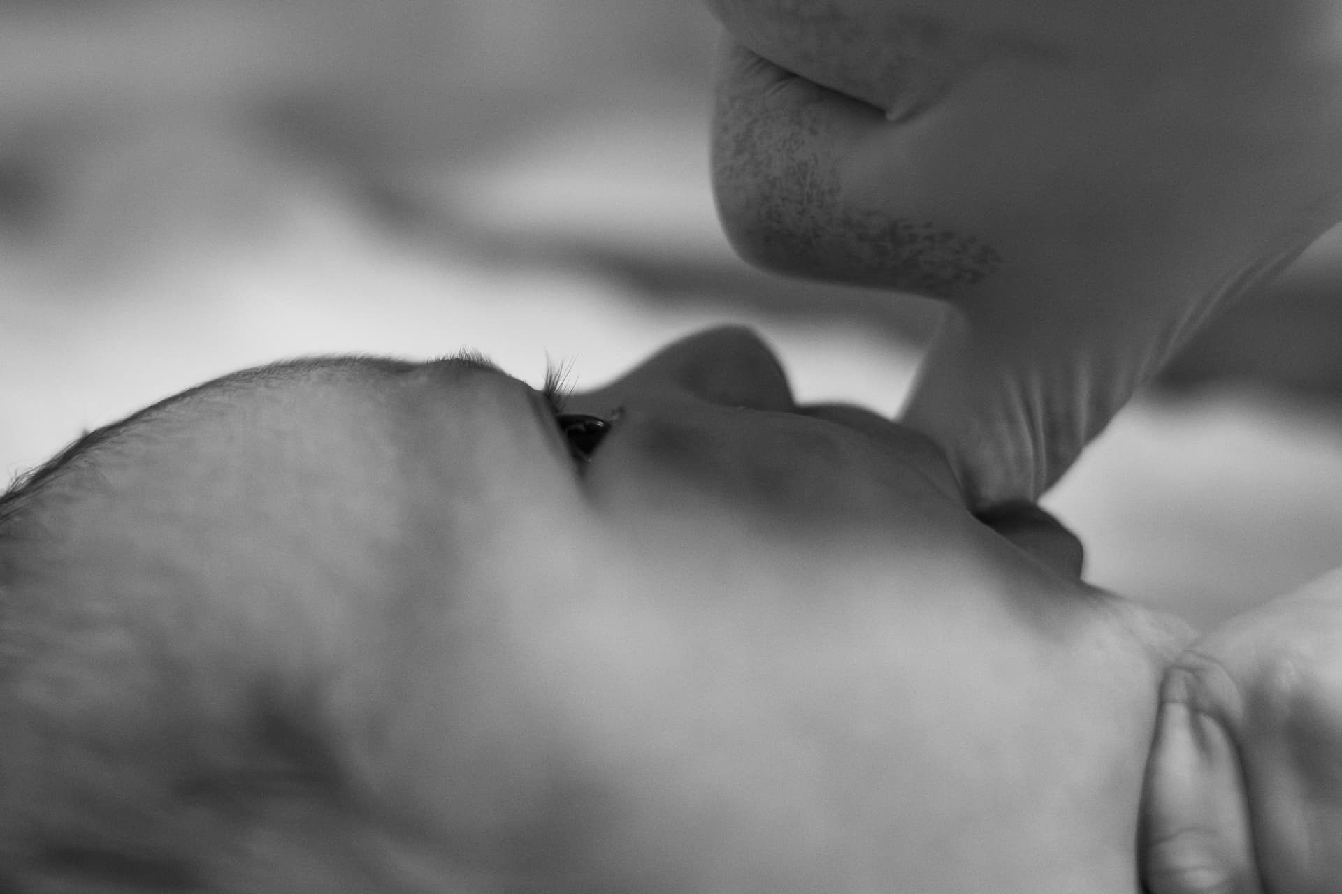 Imagem 48 da galeria fotográfica - Plartph