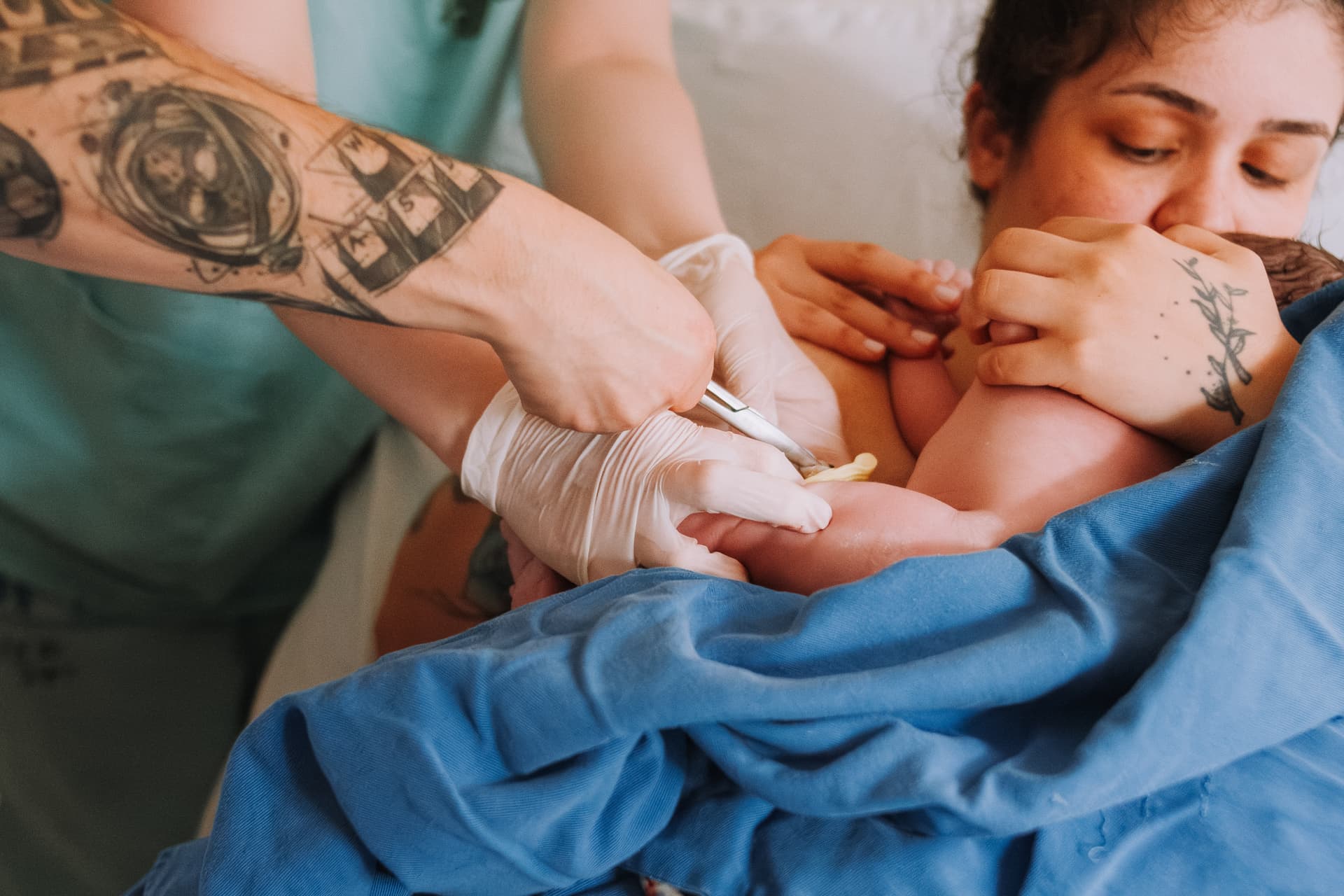 Imagem 54 da galeria fotográfica - Plartph