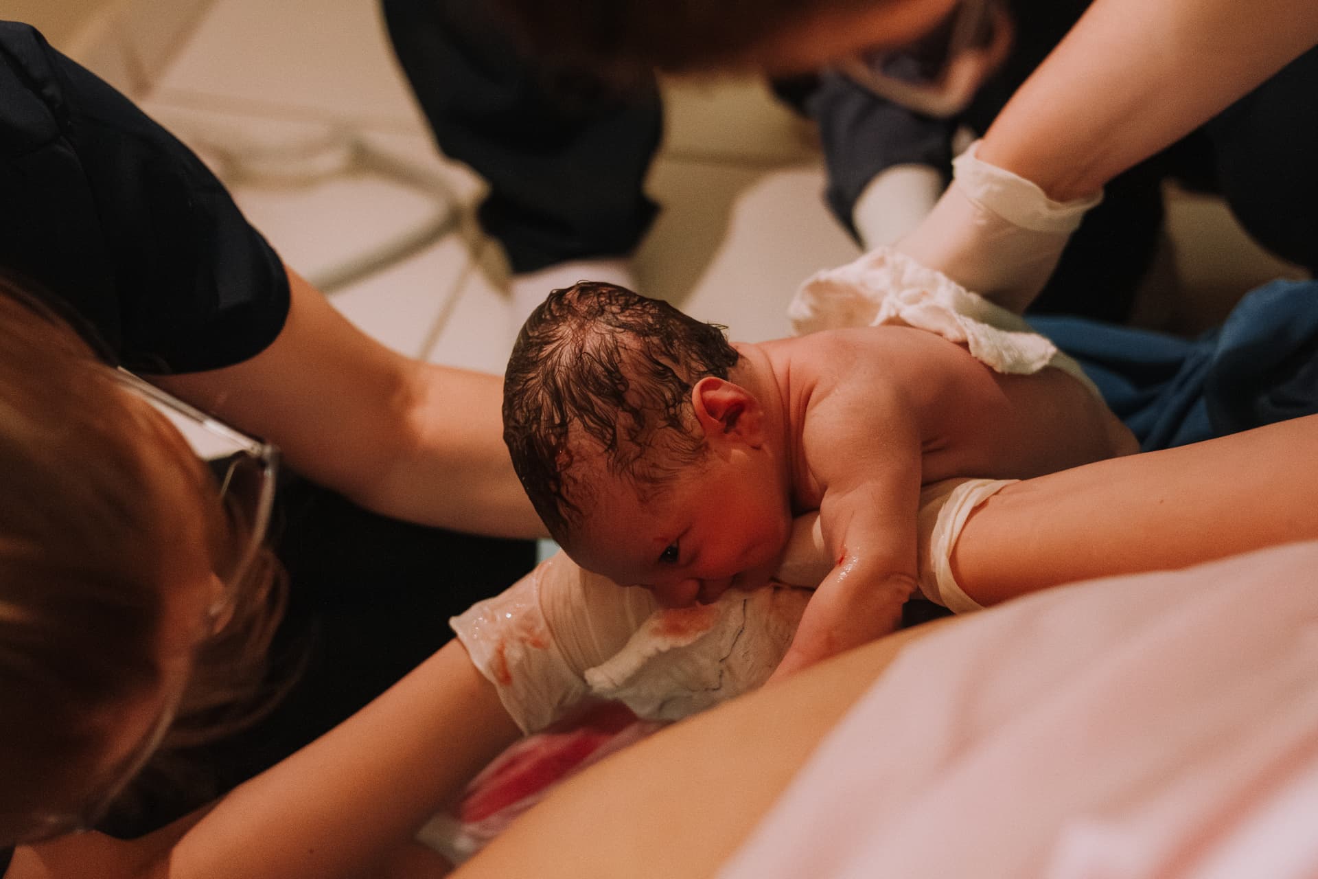 Imagem 59 da galeria fotográfica - Plartph