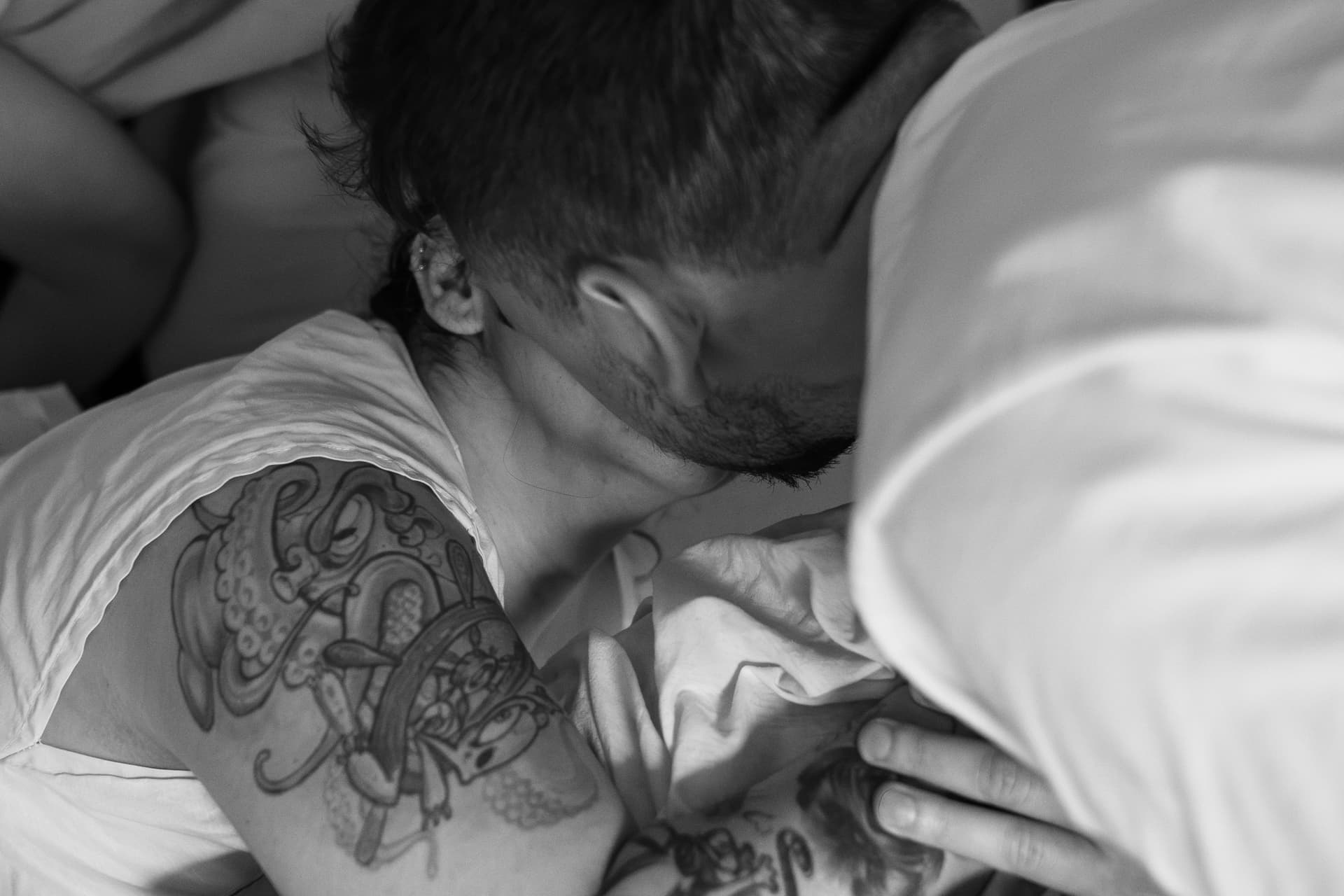 Imagem 61 da galeria fotográfica - Plartph