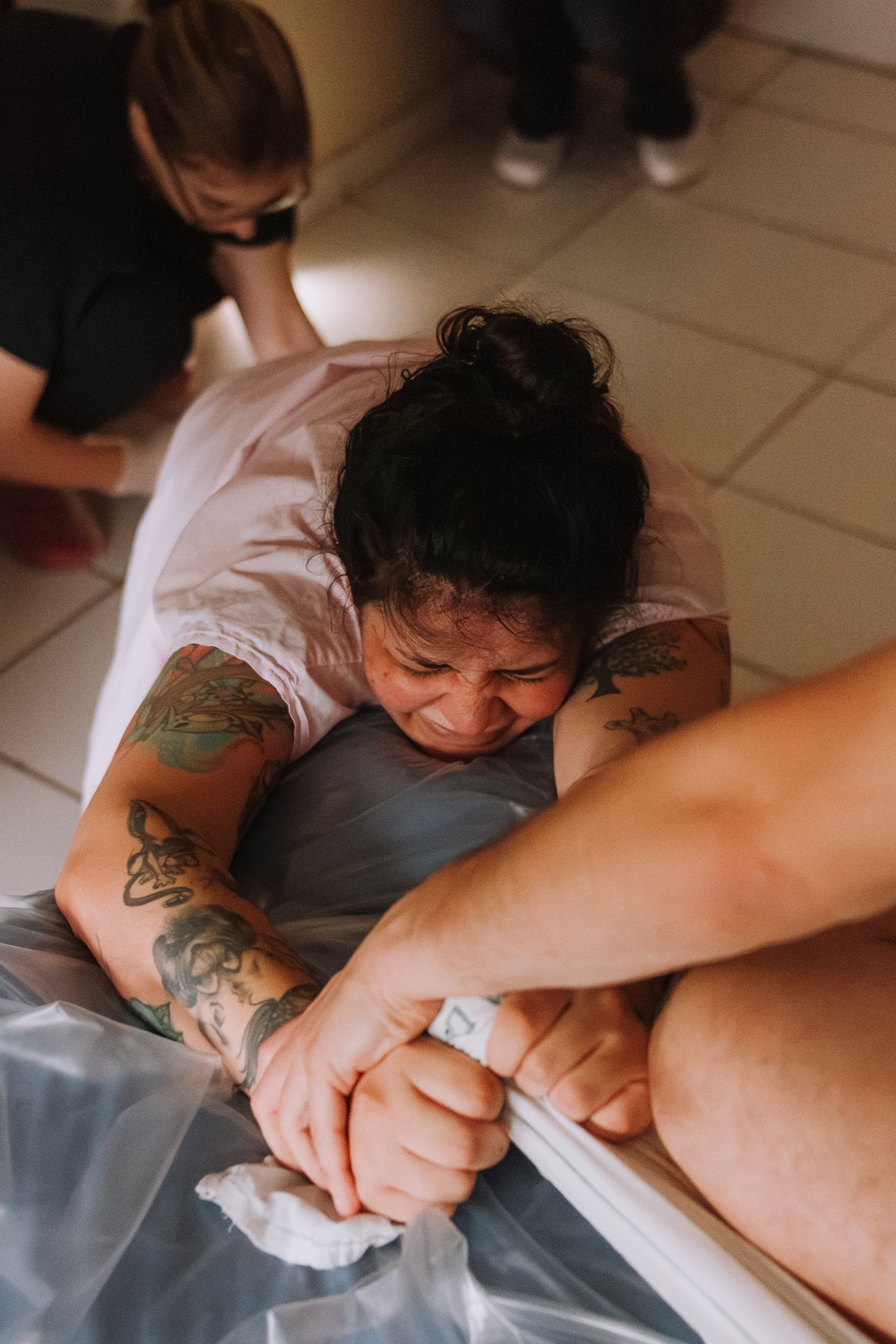 Imagem 68 da galeria fotográfica - Plartph