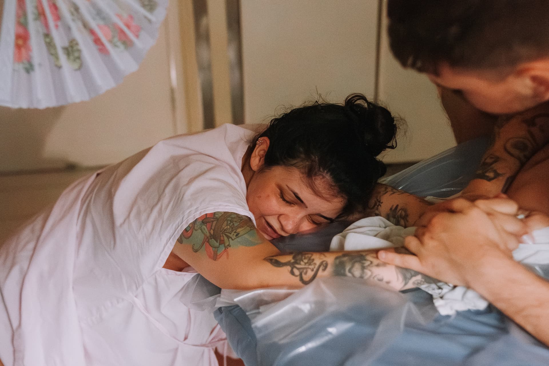 Imagem 67 da galeria fotográfica - Plartph