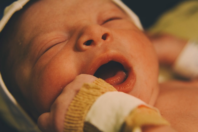 Chegada do Matteo - Portfólio Plartph